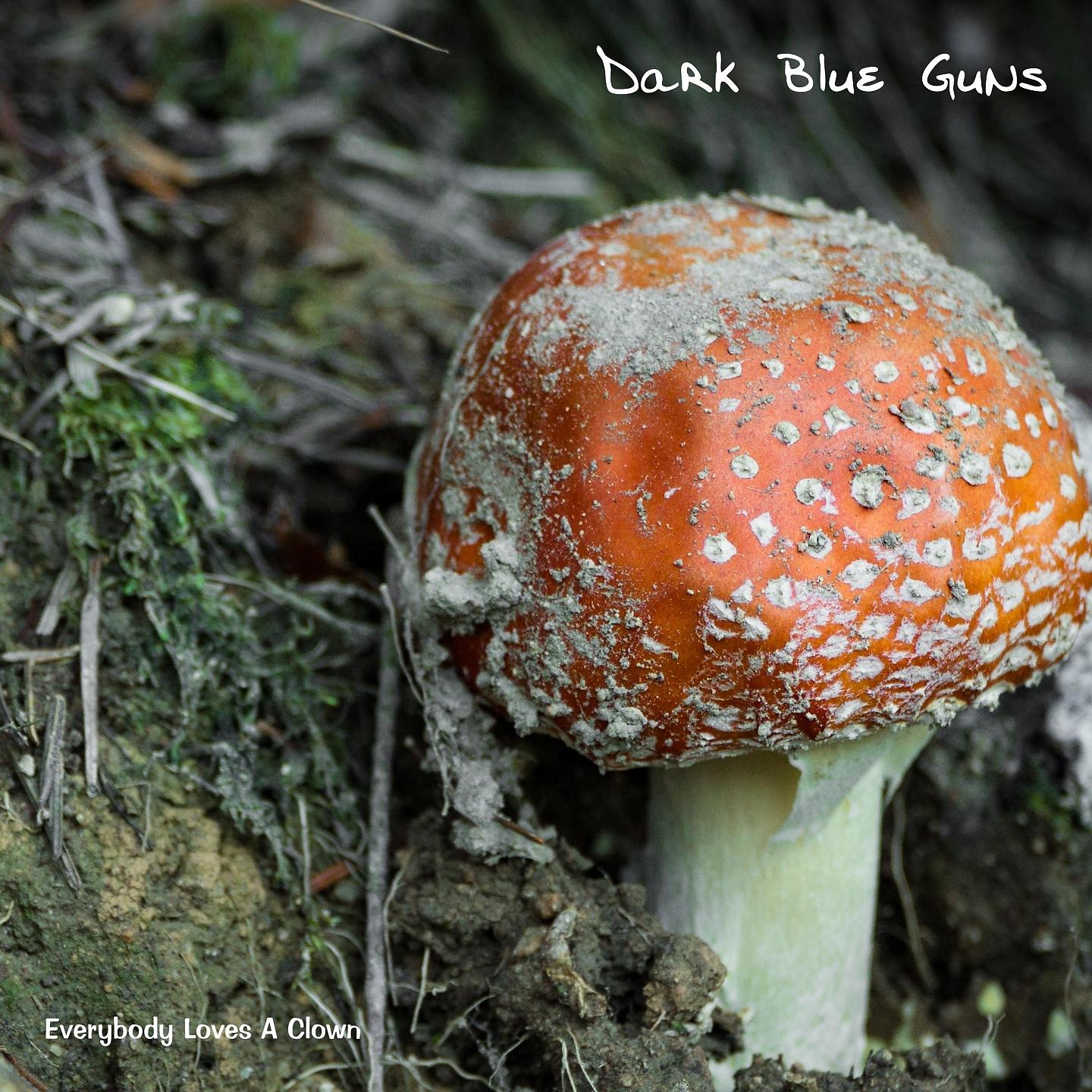 Постер альбома Dark Blue Guns