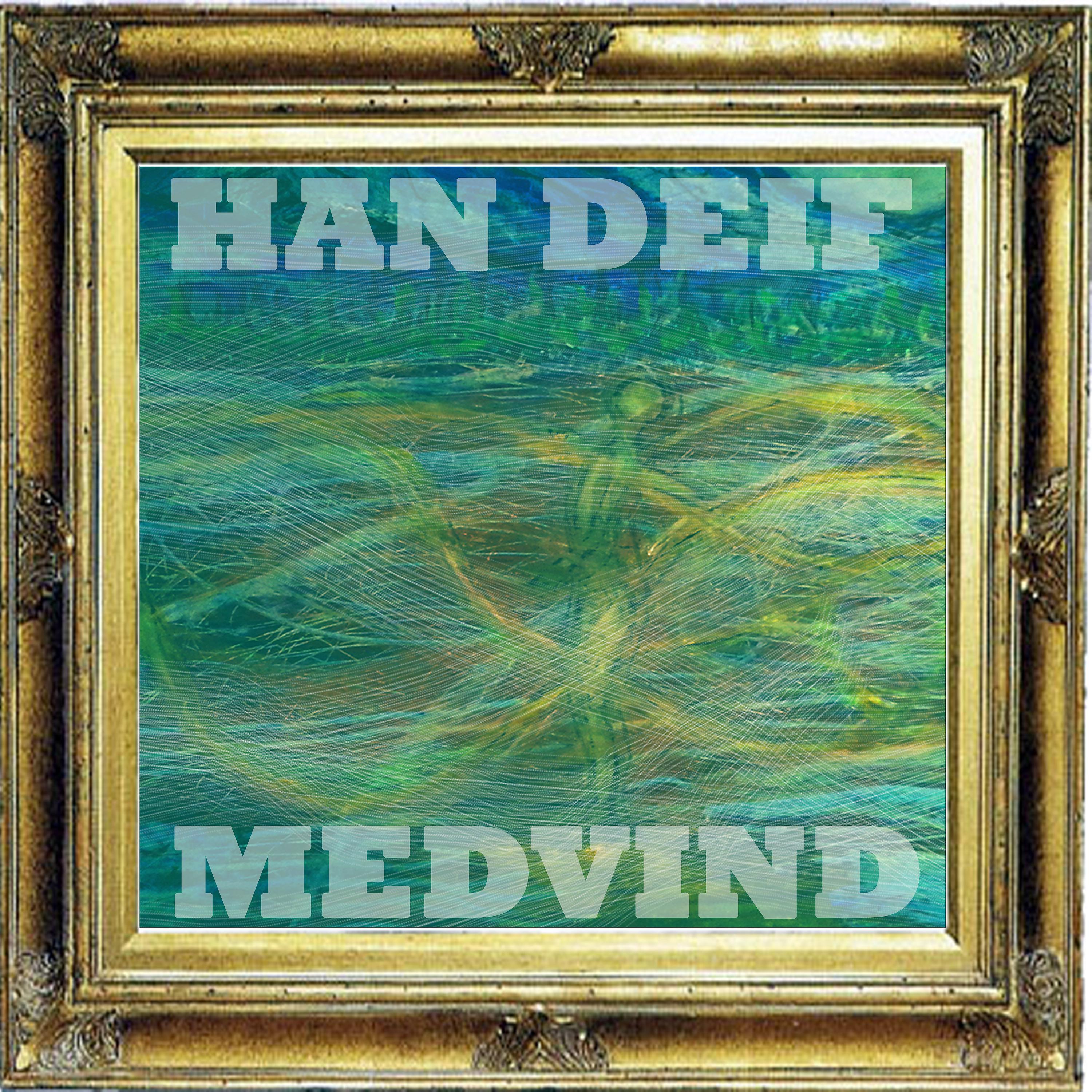 Постер альбома Medvind