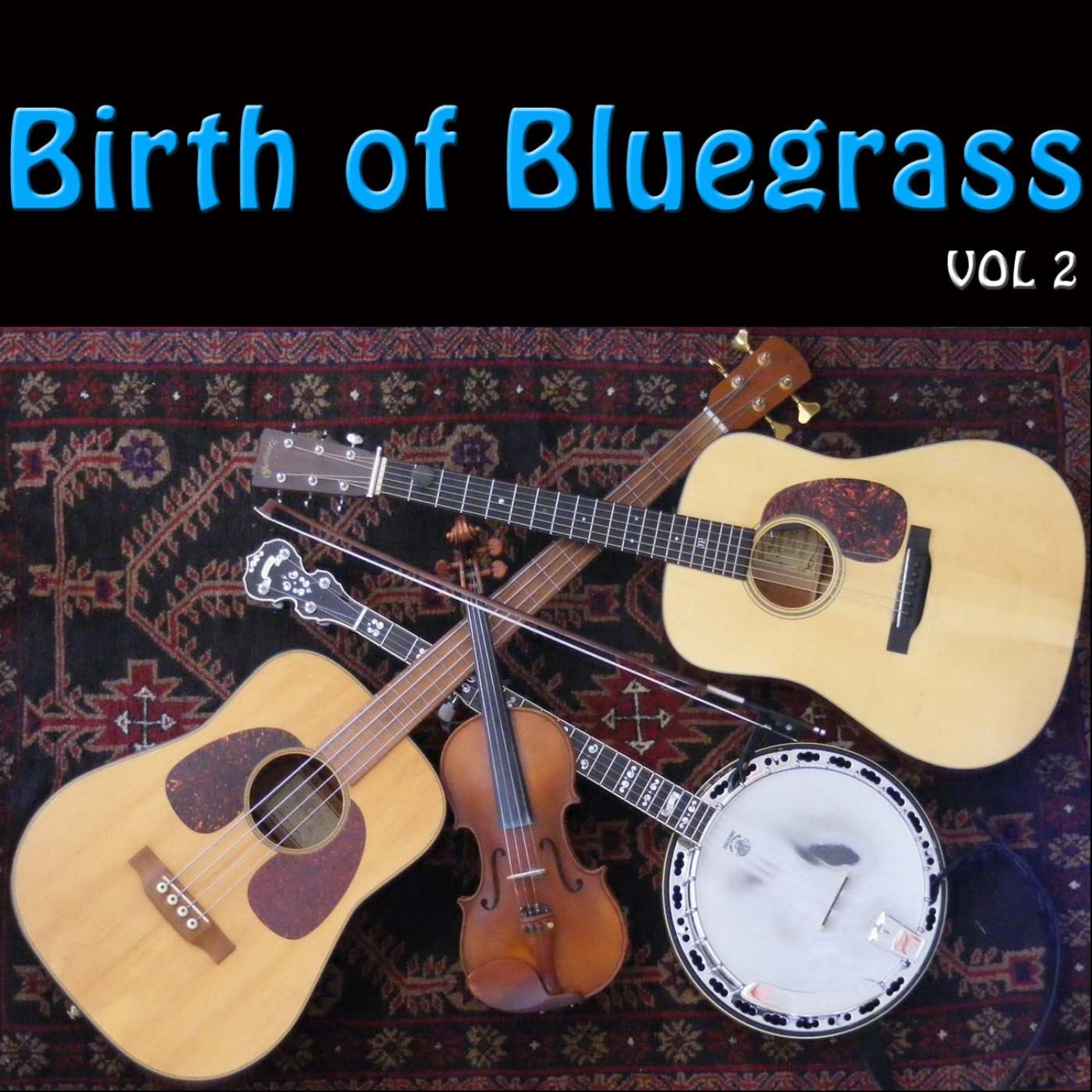 Постер альбома Birth of Bluegrass, Vol. 2