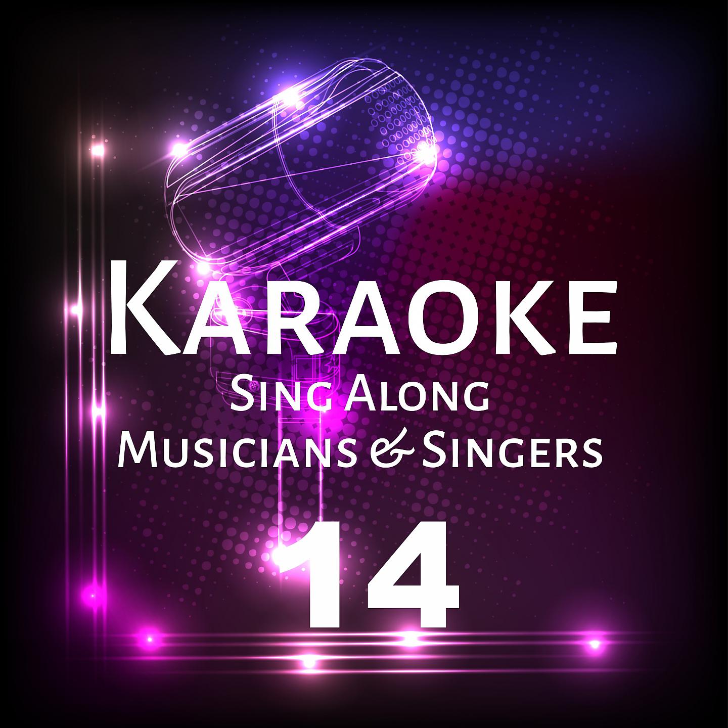 Постер альбома Karaoke Sing Along Musicians & Singers, Vol. 14