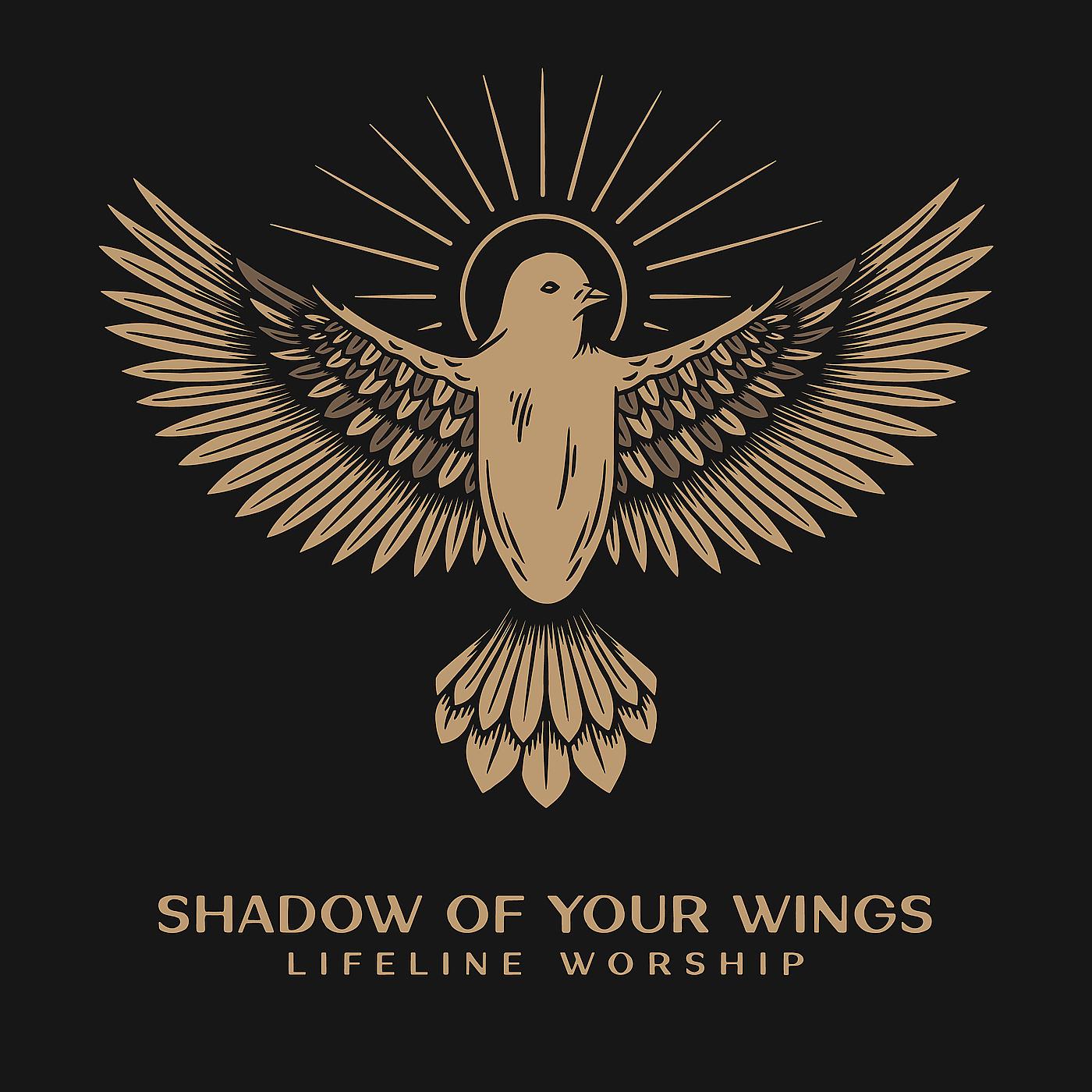 Постер альбома Shadow of Your Wings