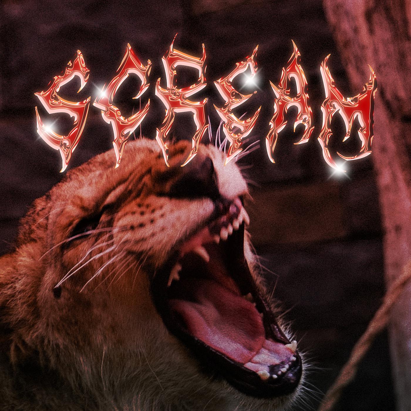Постер альбома Scream