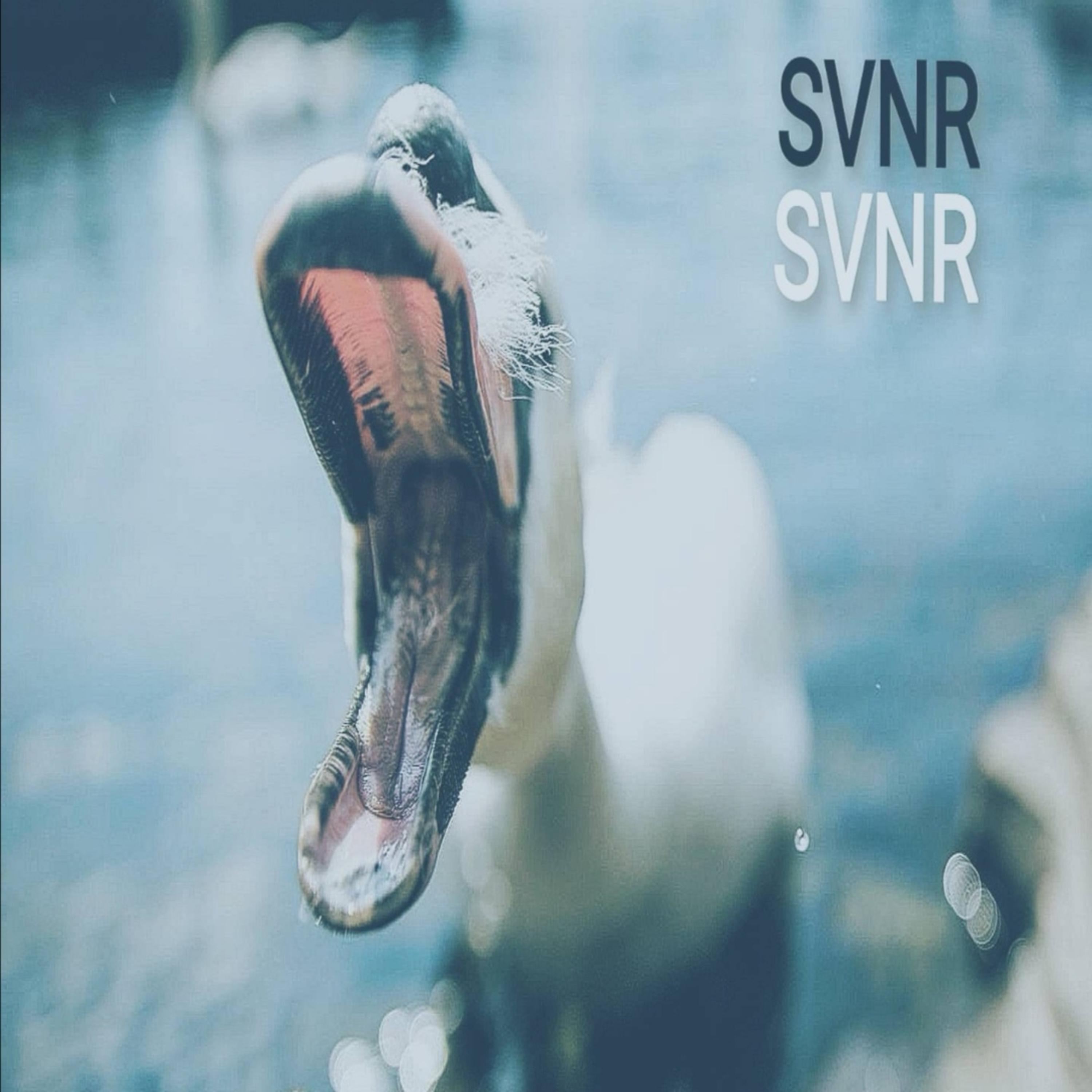 Постер альбома SVNR
