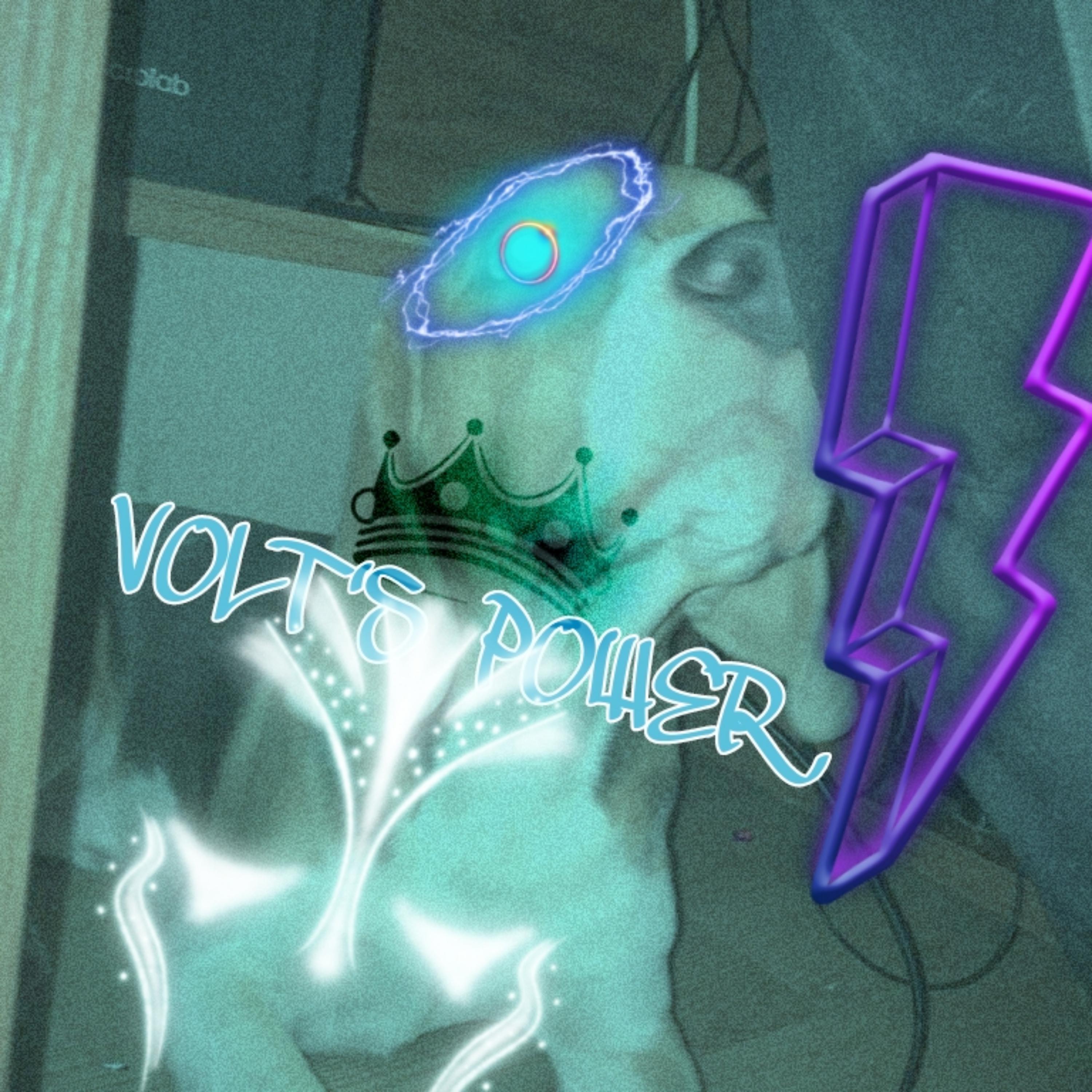 Постер альбома VOLT'S POWER