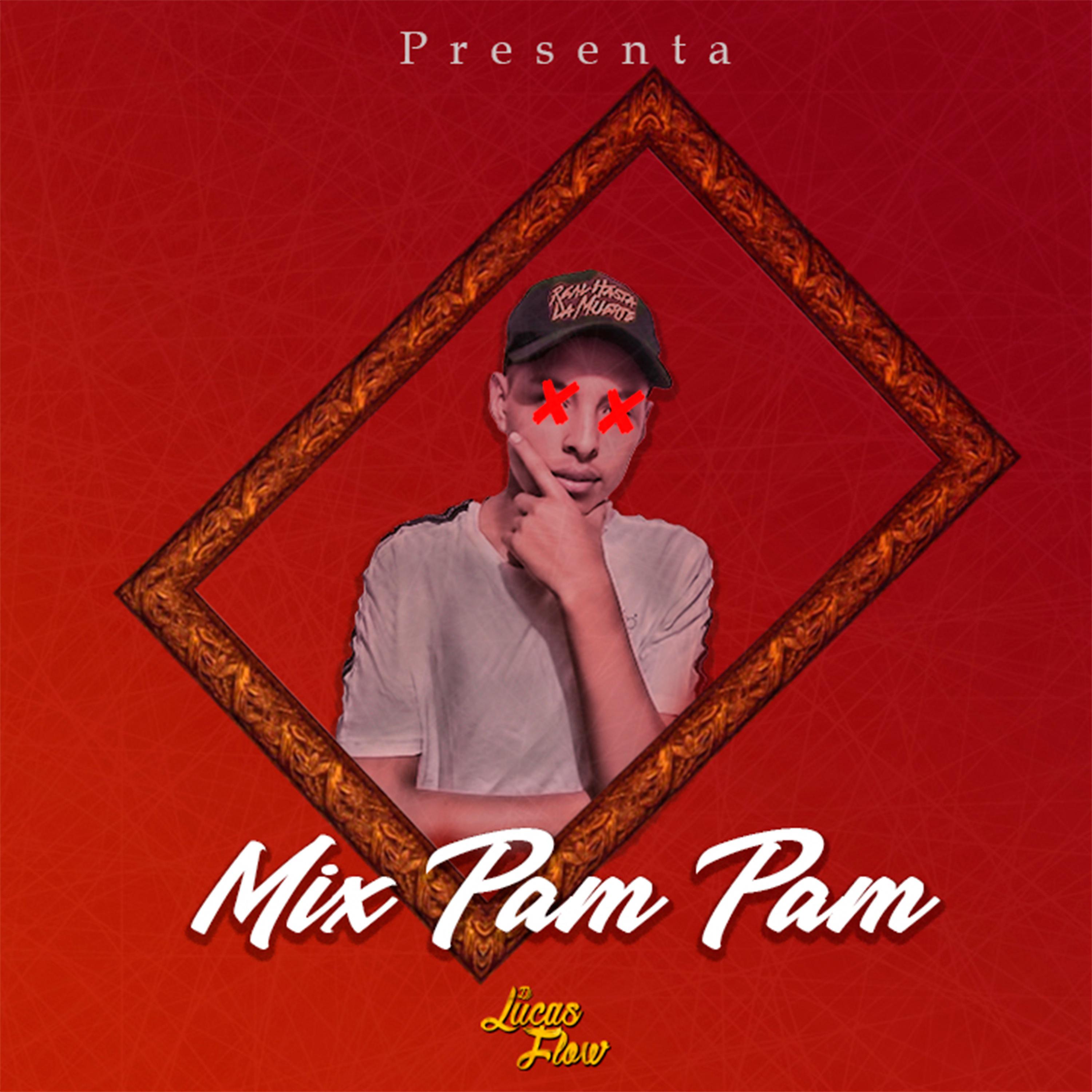 Постер альбома Mix Pam Pam