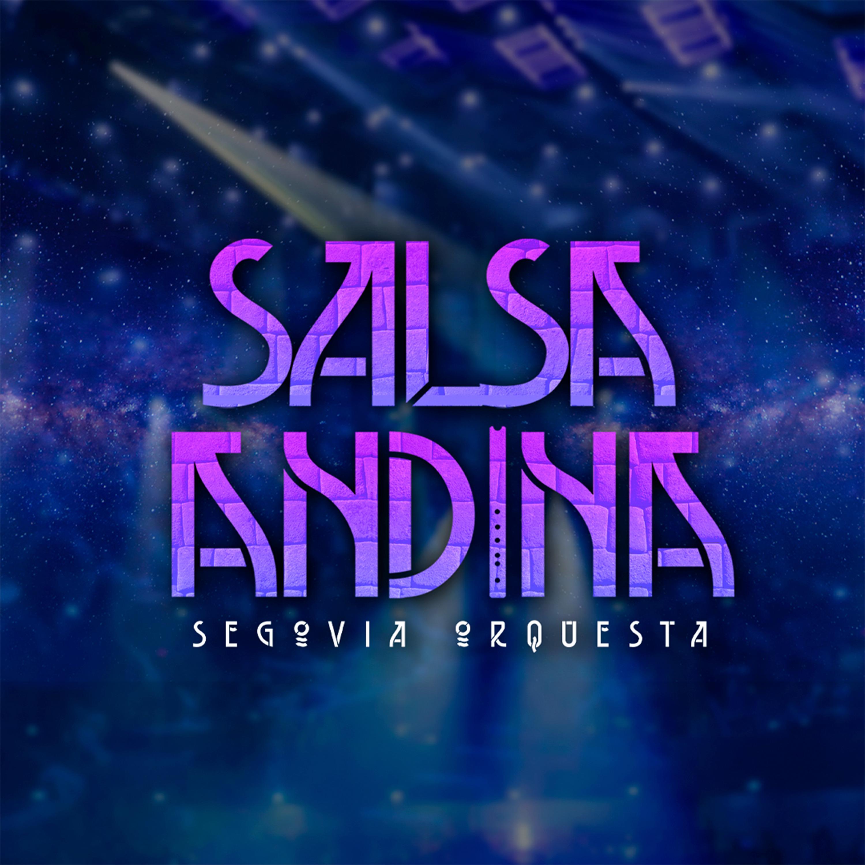 Постер альбома Salsa Andina