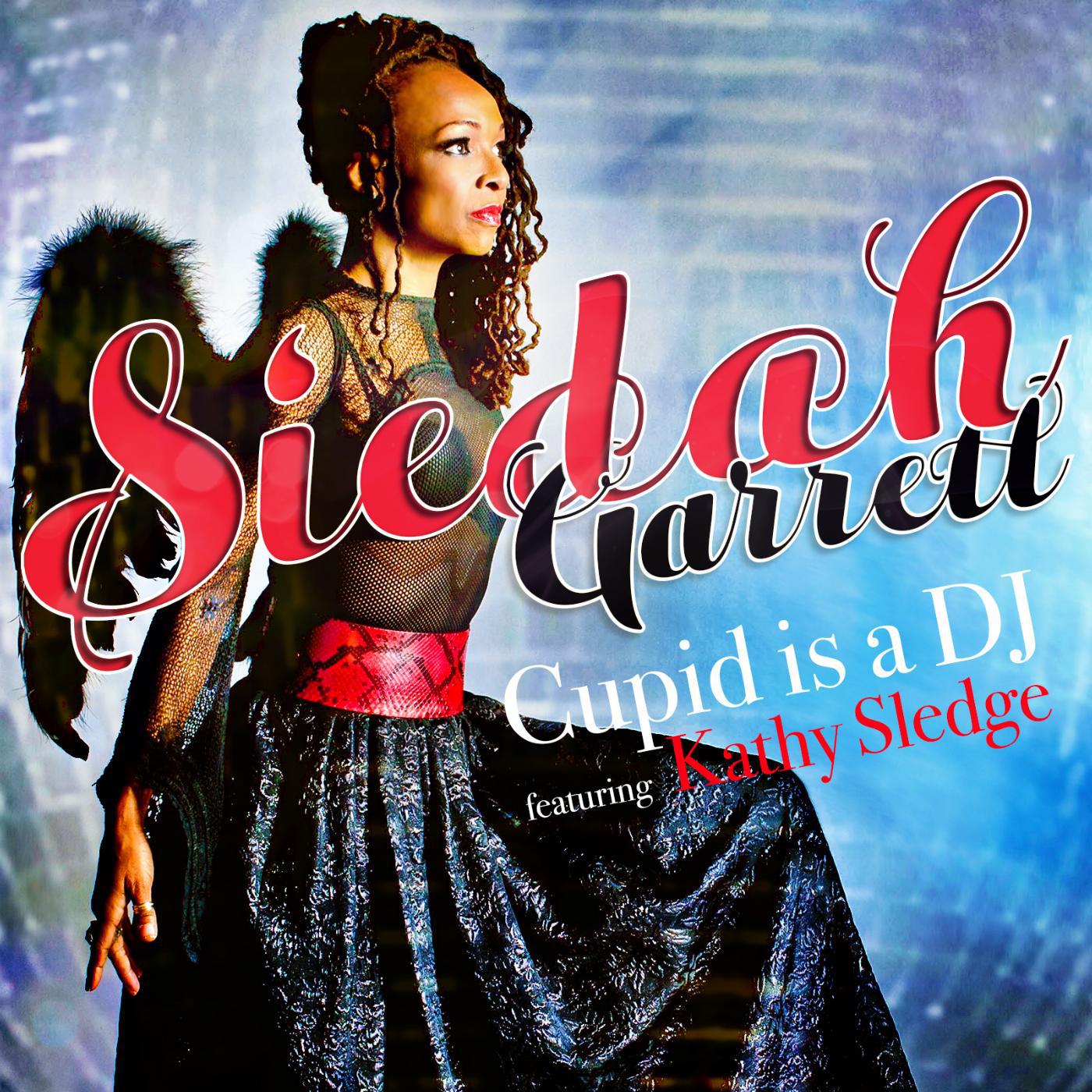 Постер альбома Cupid Is a DJ (feat. Kathy Sledge)