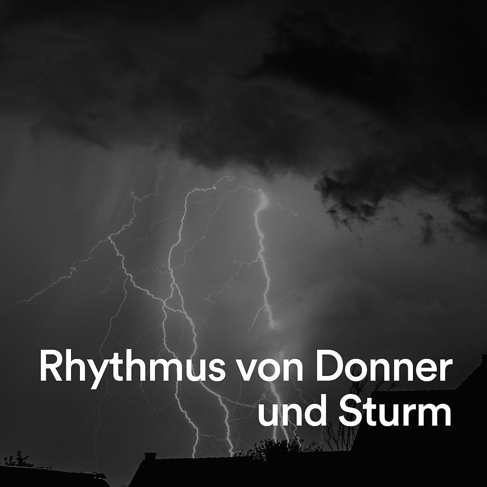 Постер альбома Rhythmus von Donner und Sturm