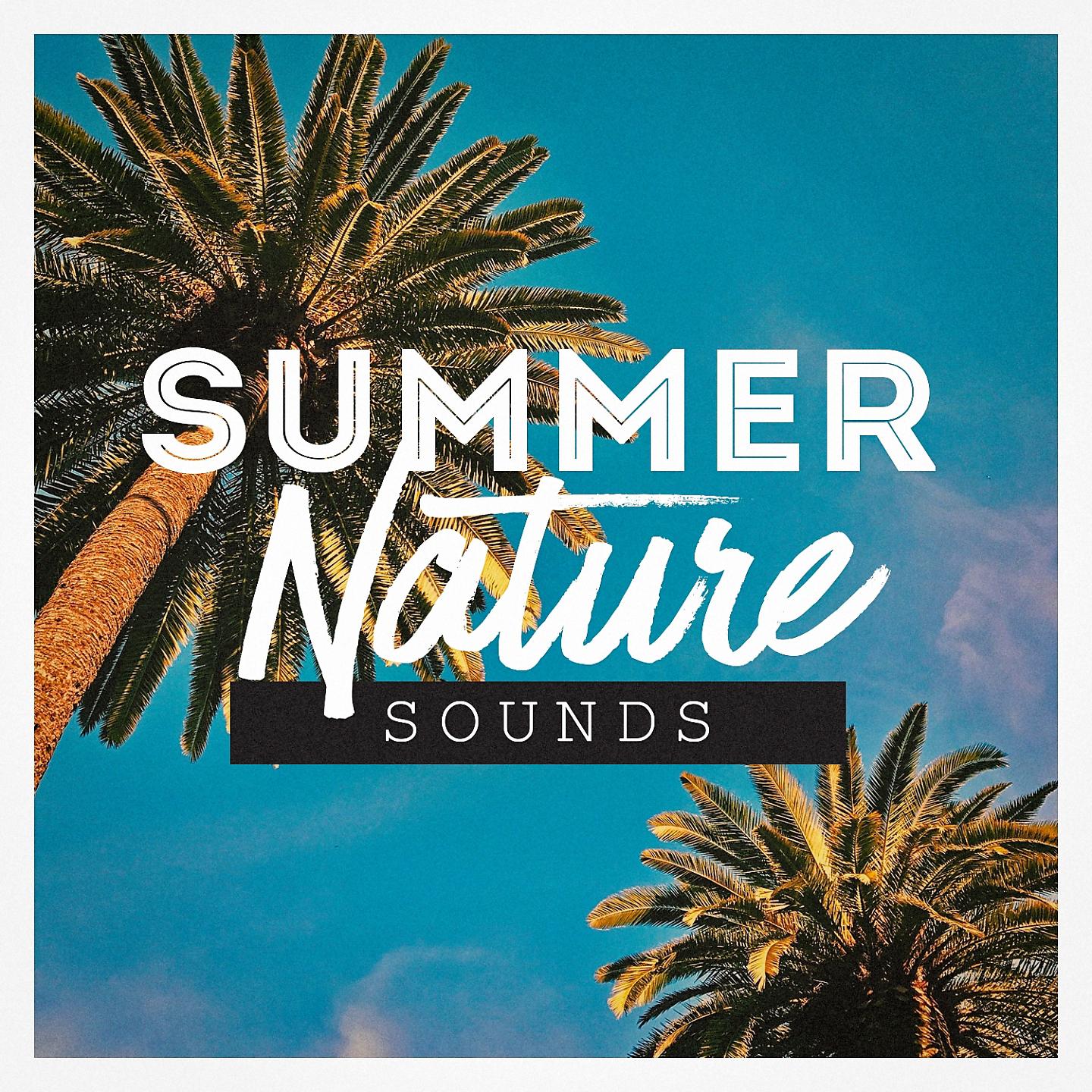 Постер альбома Summer Nature Sounds