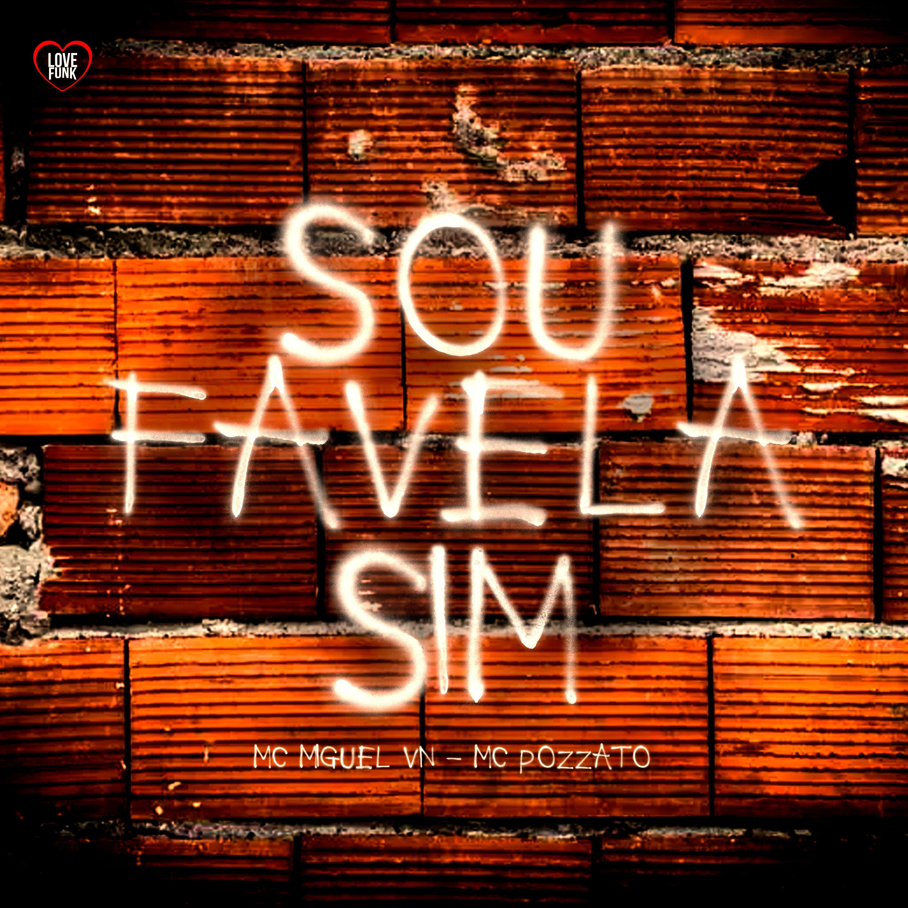 Постер альбома Sou Favela Sim