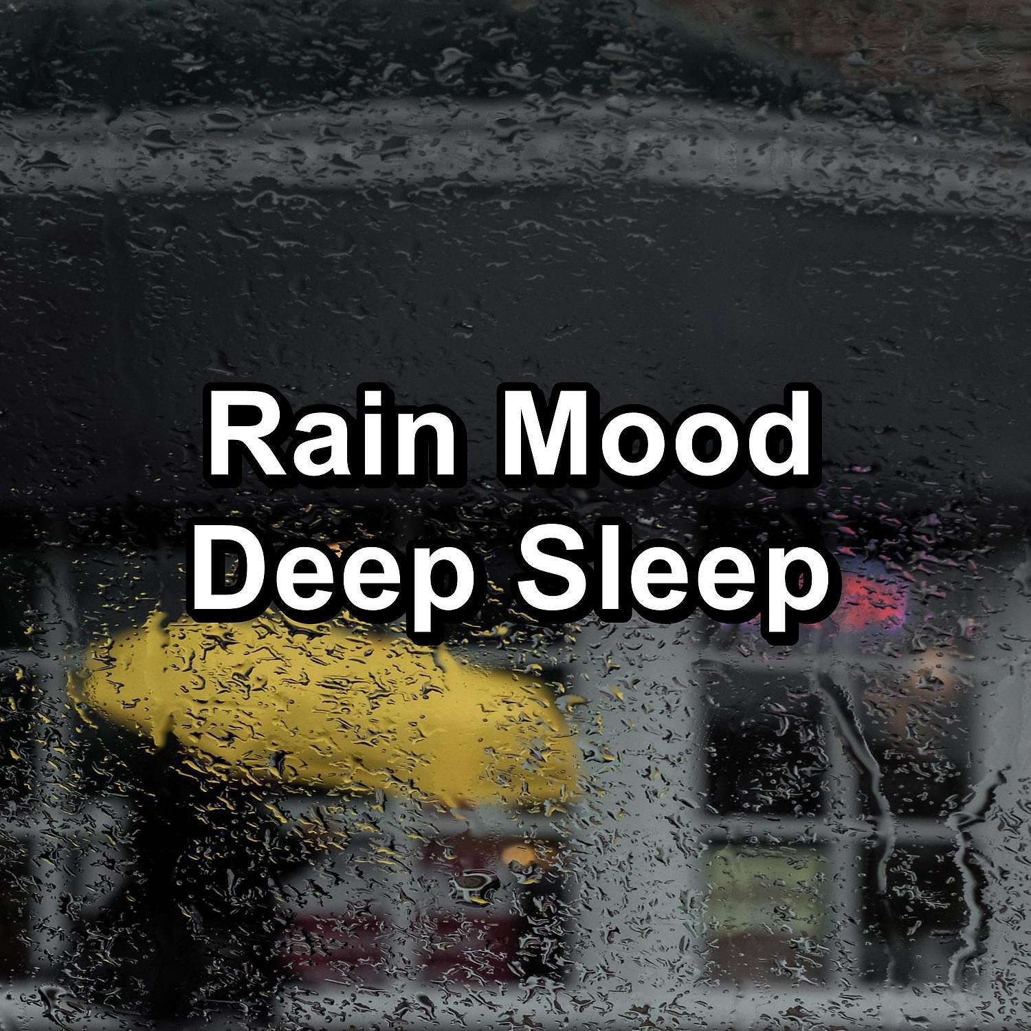 Постер альбома Rain Mood Deep Sleep