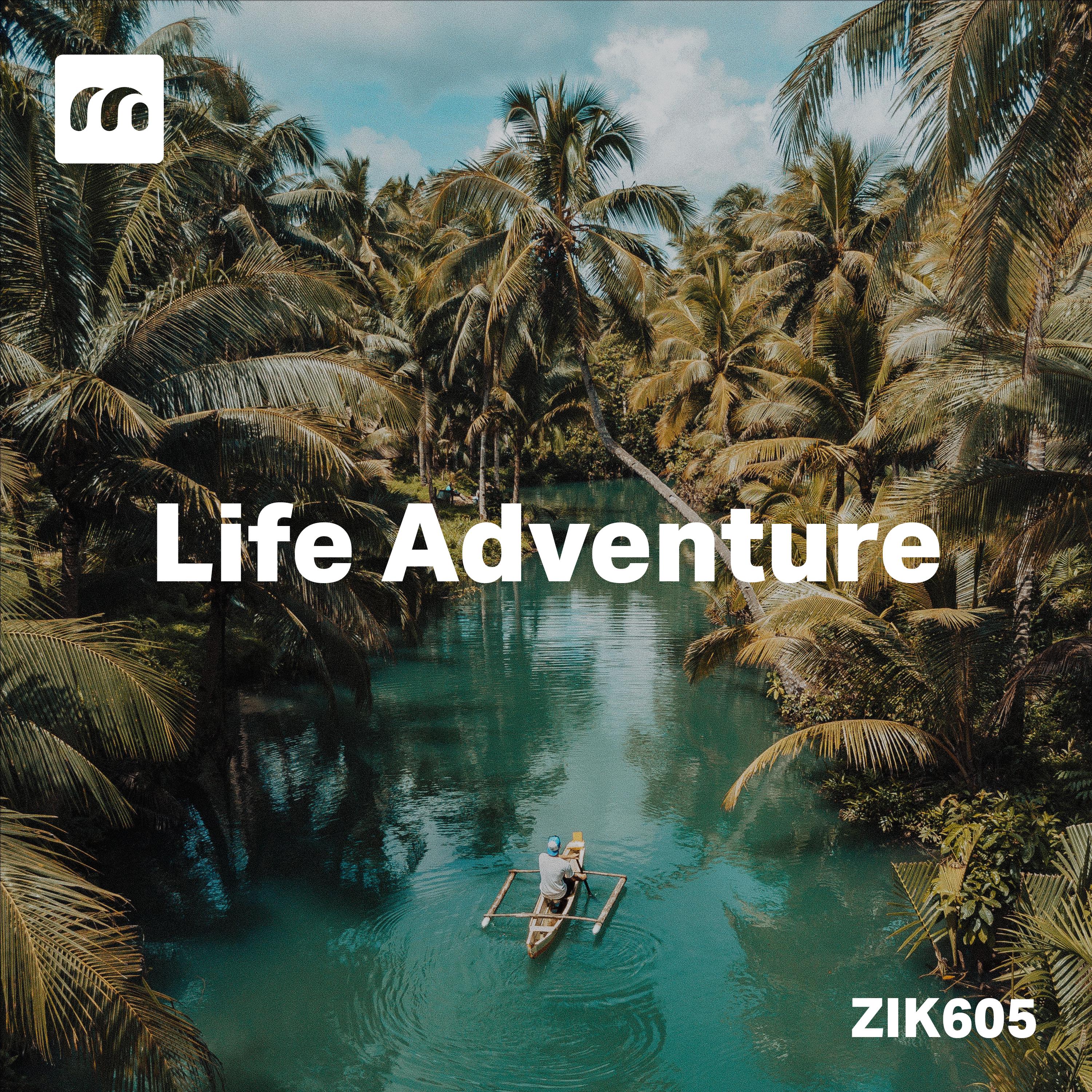 Постер альбома Life Adventure