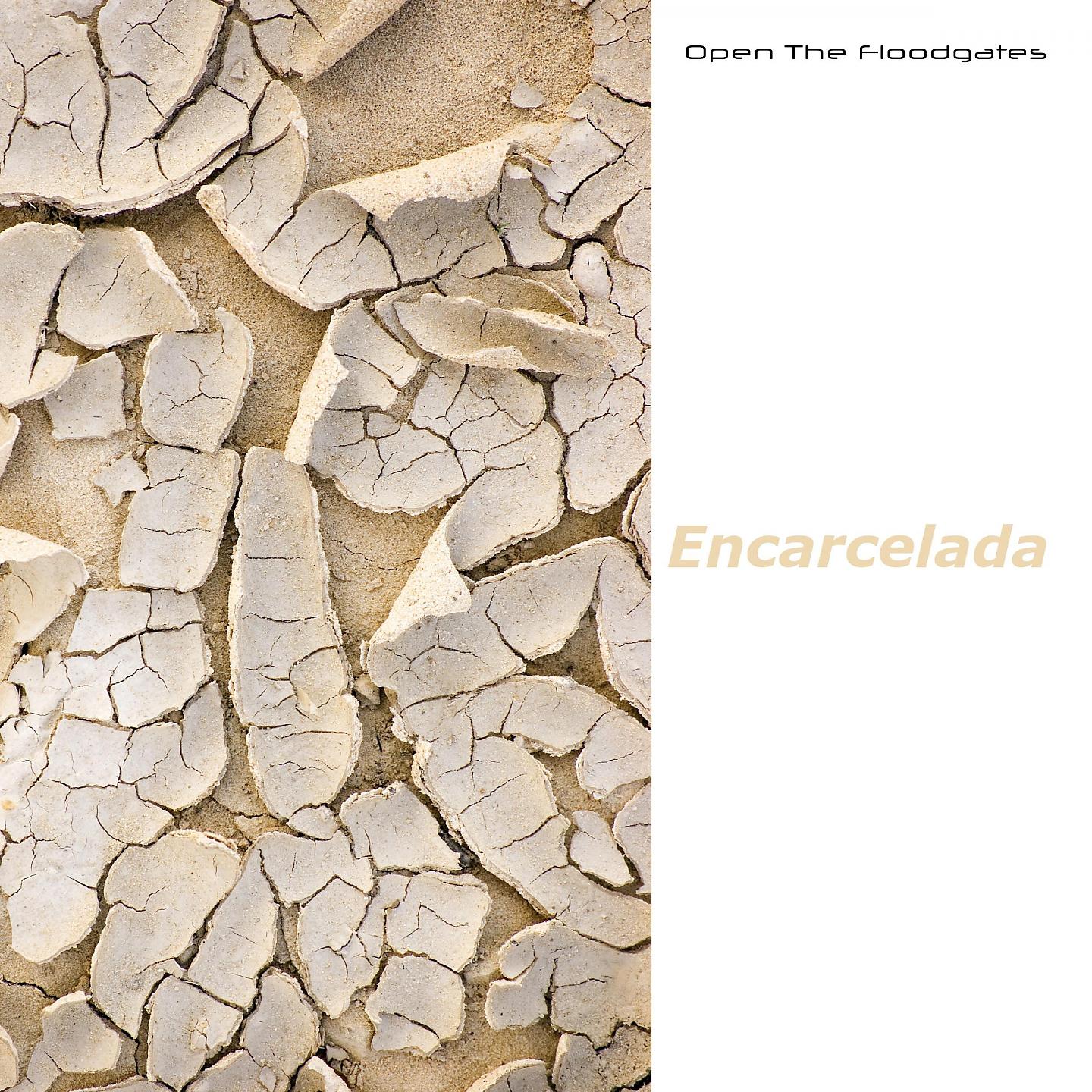 Постер альбома Encarcelada