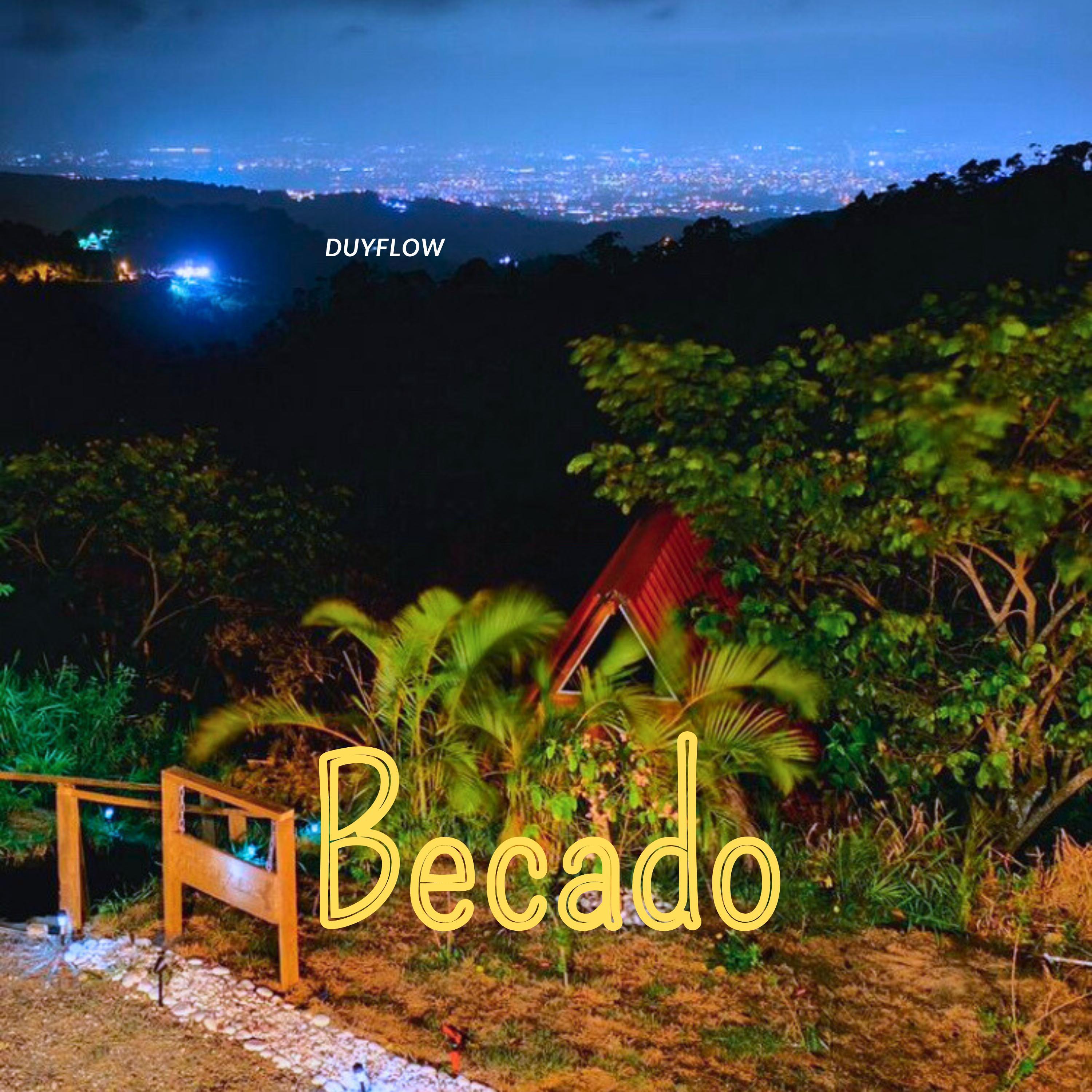 Постер альбома Becado