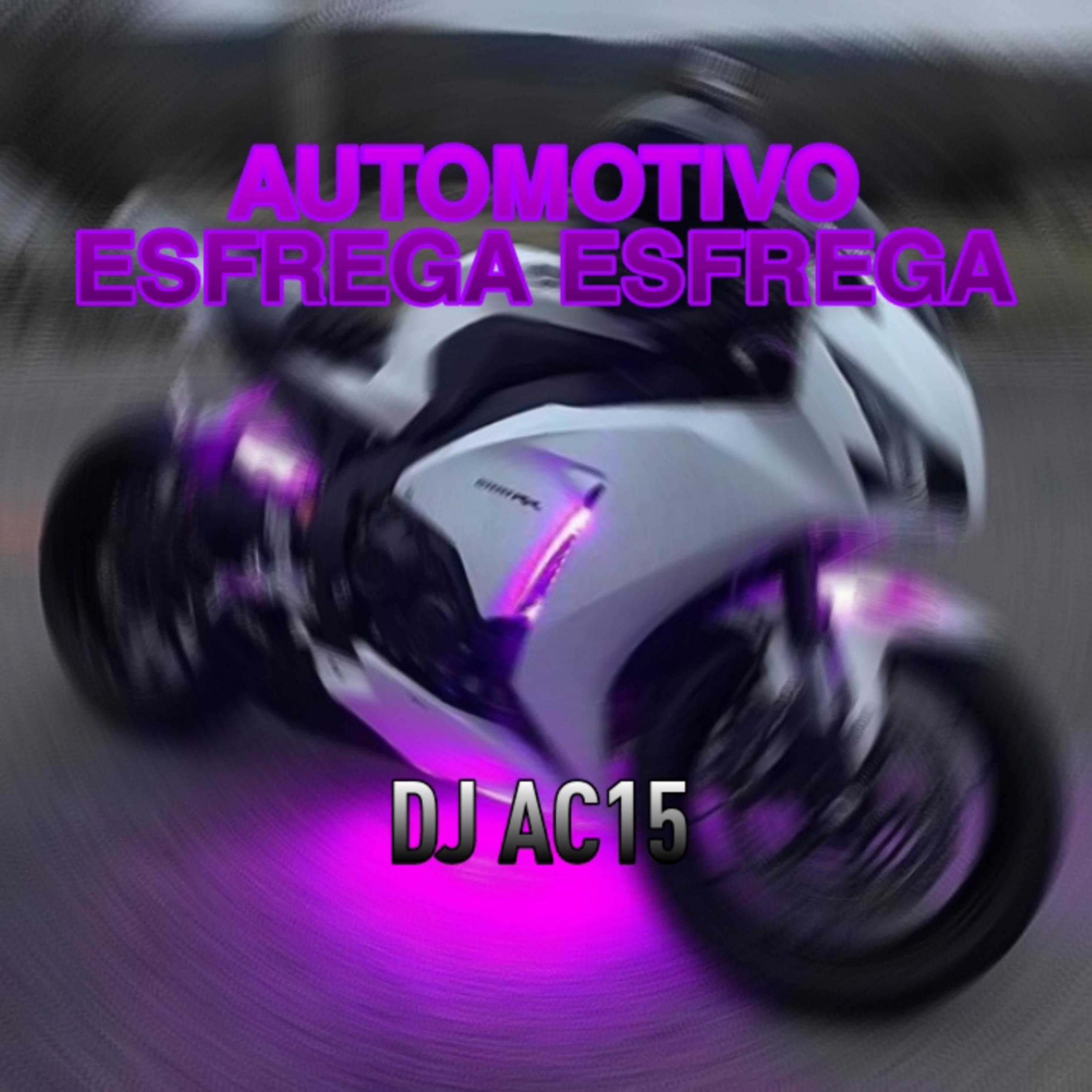 Постер альбома Automotivo Esfrega Esfrega