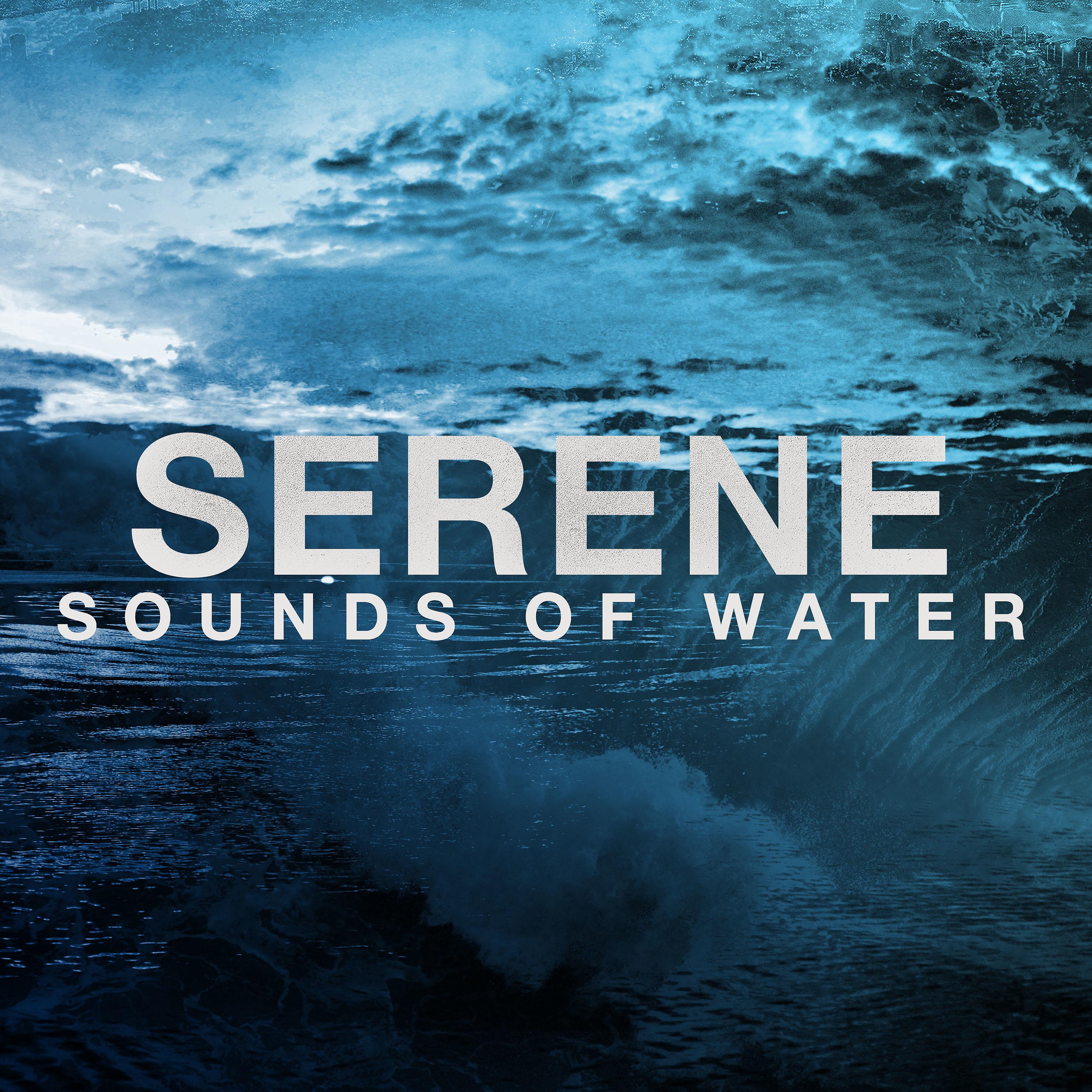 Постер альбома Serene Sounds of Water