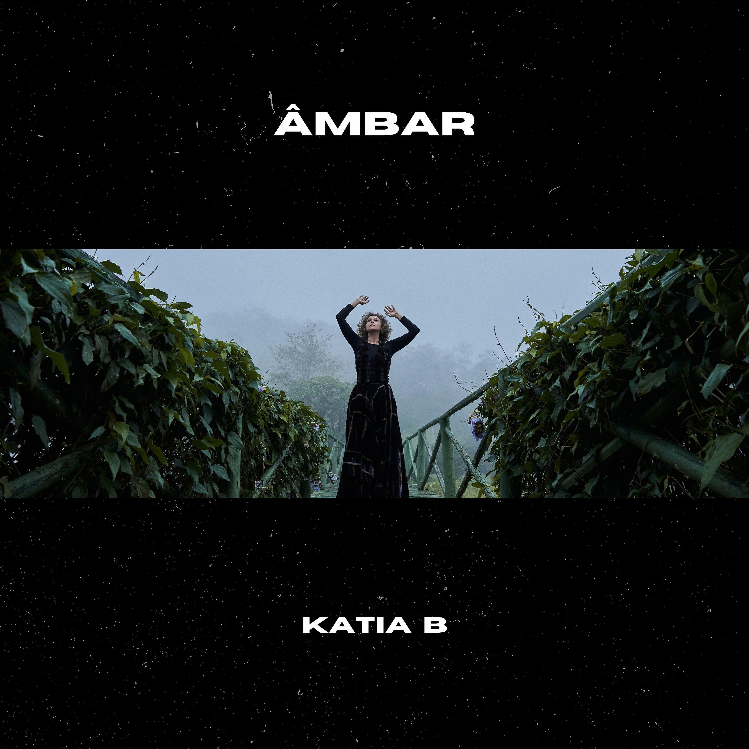 Постер альбома Âmbar