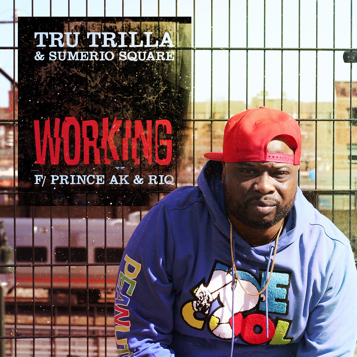 Постер альбома Working (feat. Prince Ak & RIQ)