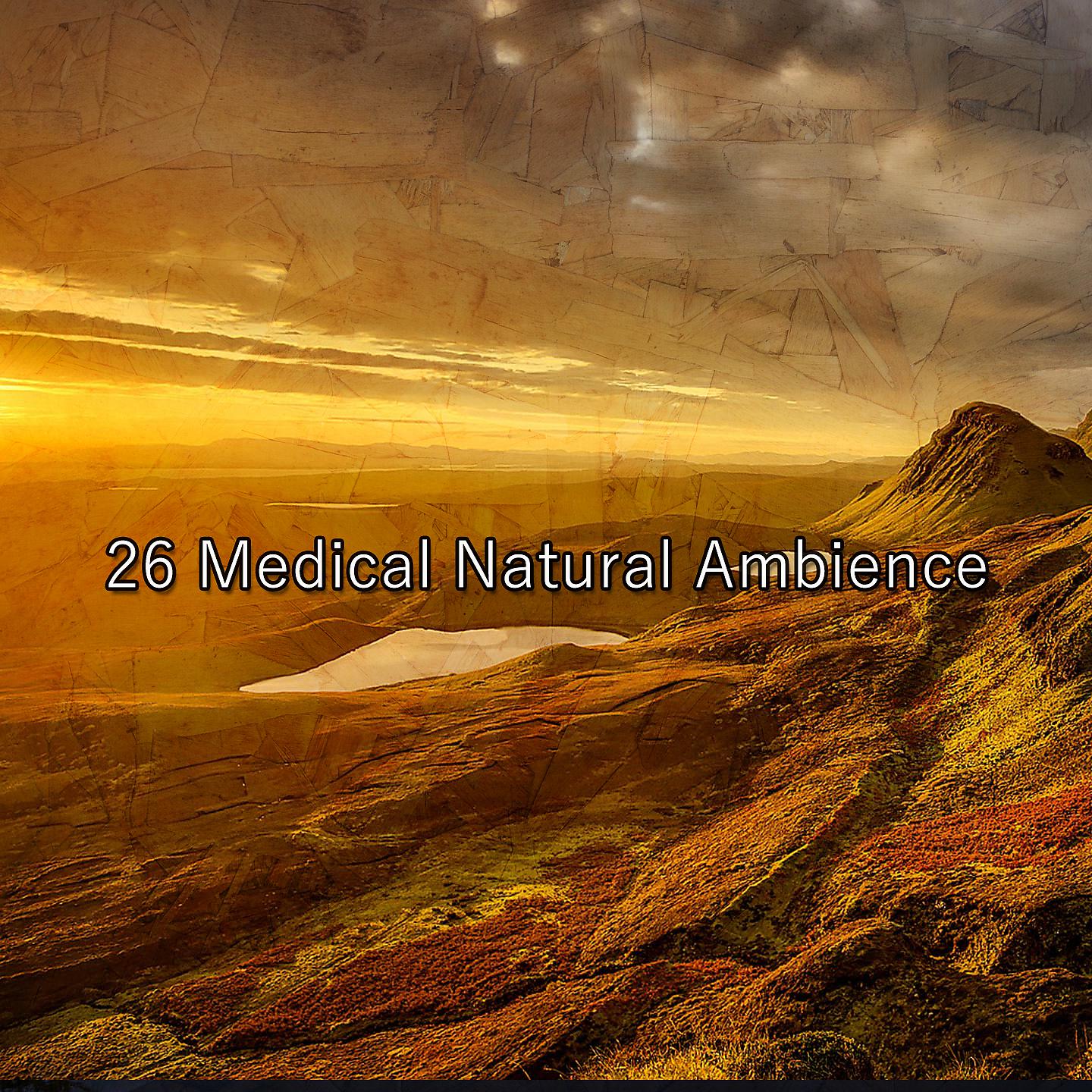 Постер альбома 26 Medical Natural Ambience