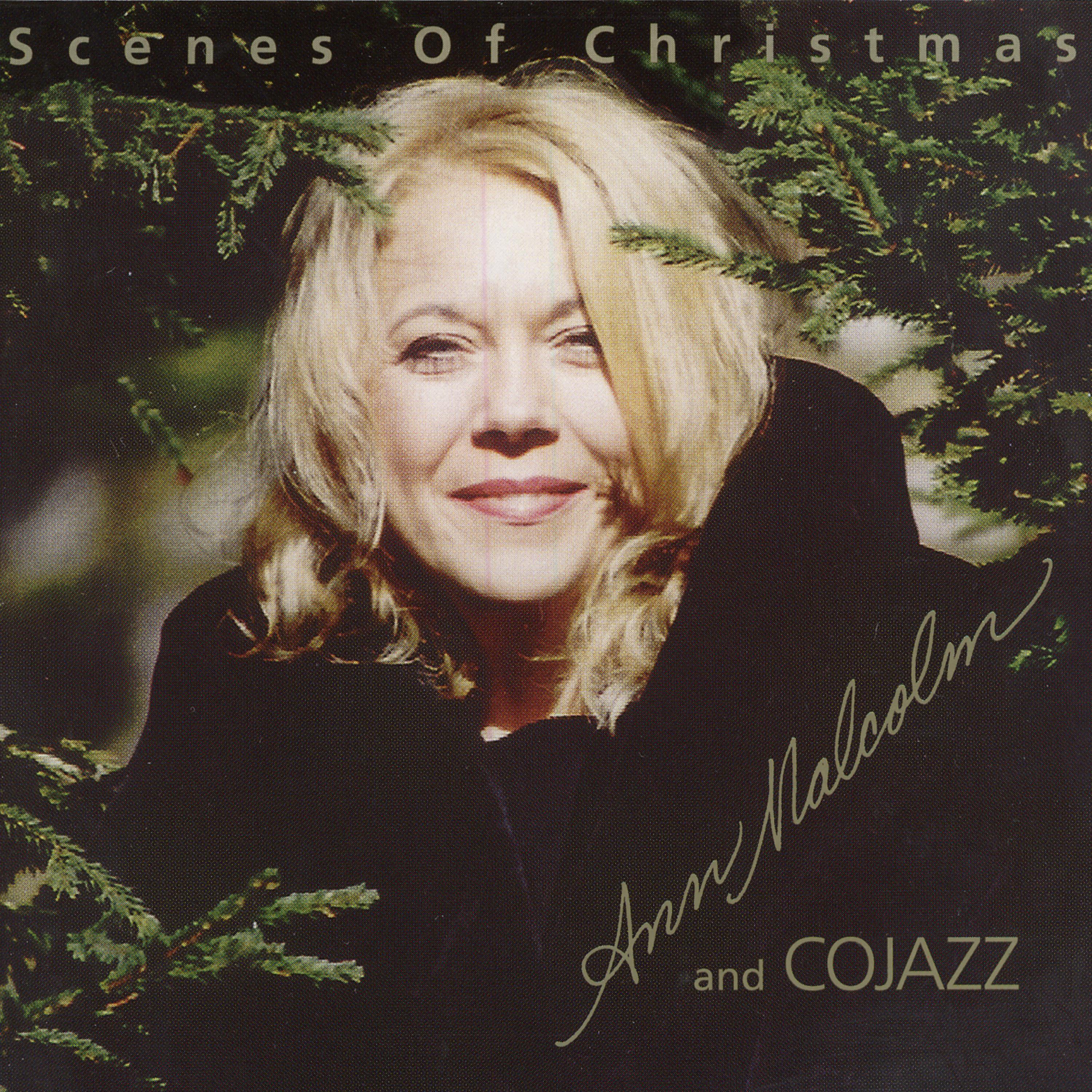 Постер альбома Scenes of Christmas