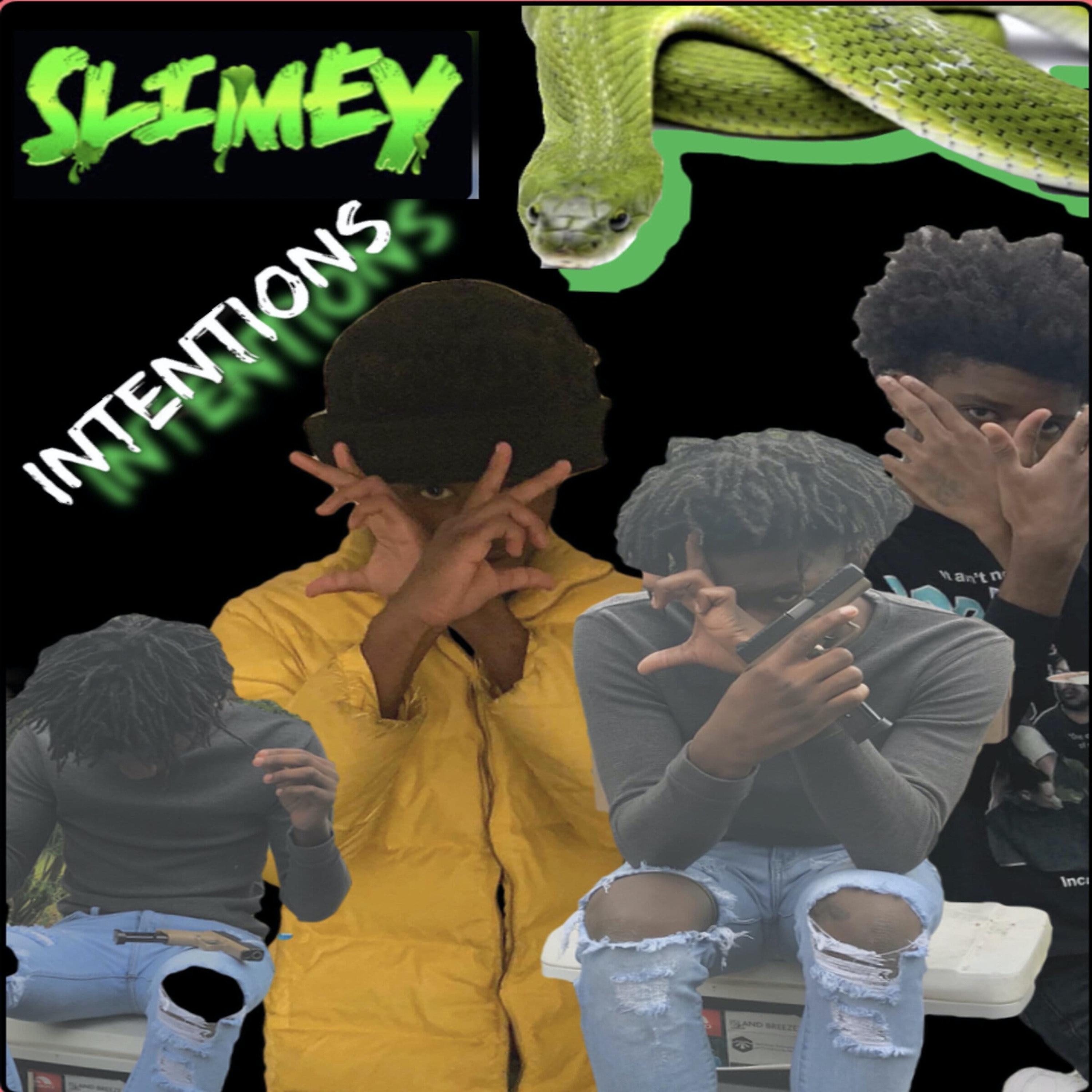 Постер альбома Slimey Intentions
