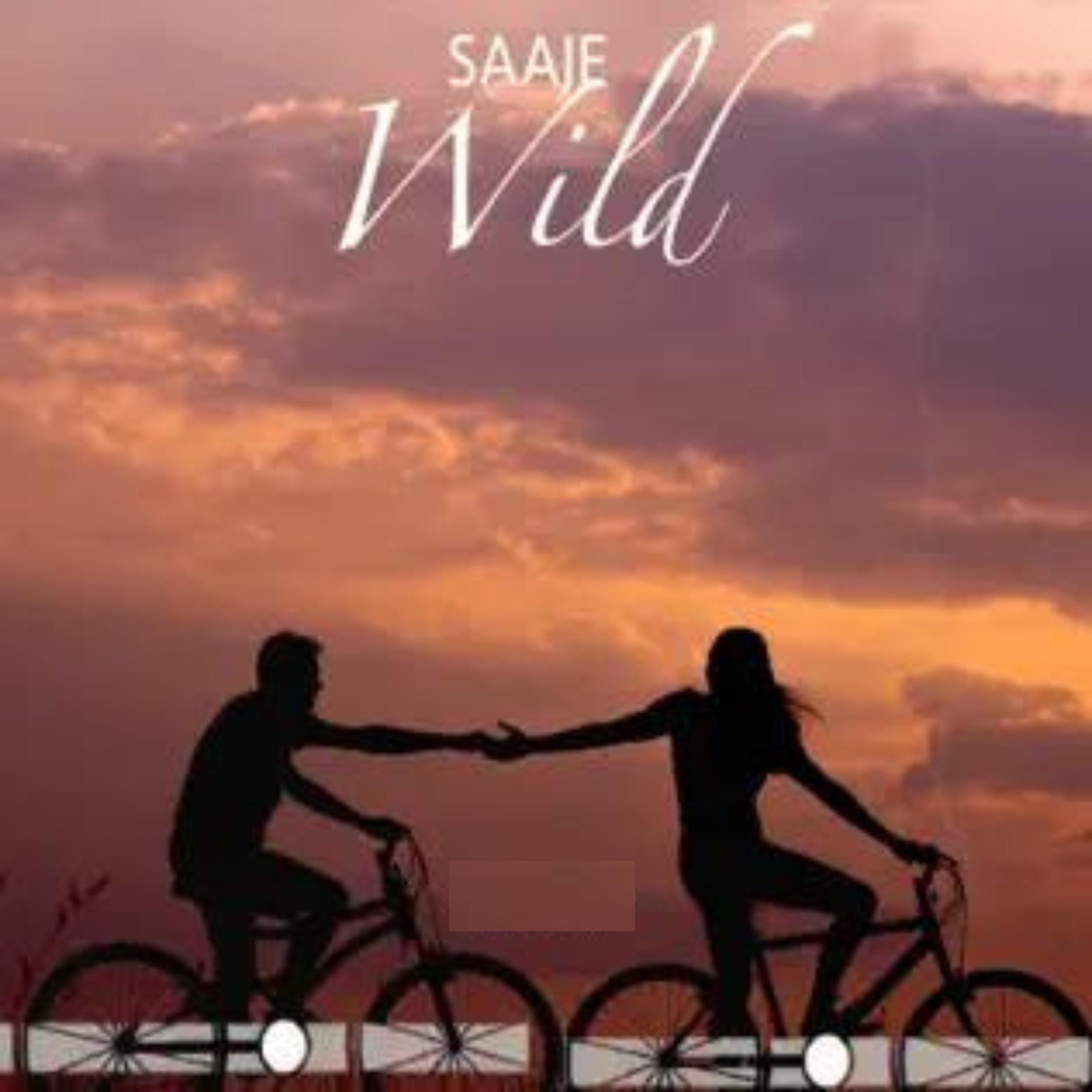 Постер альбома Wild