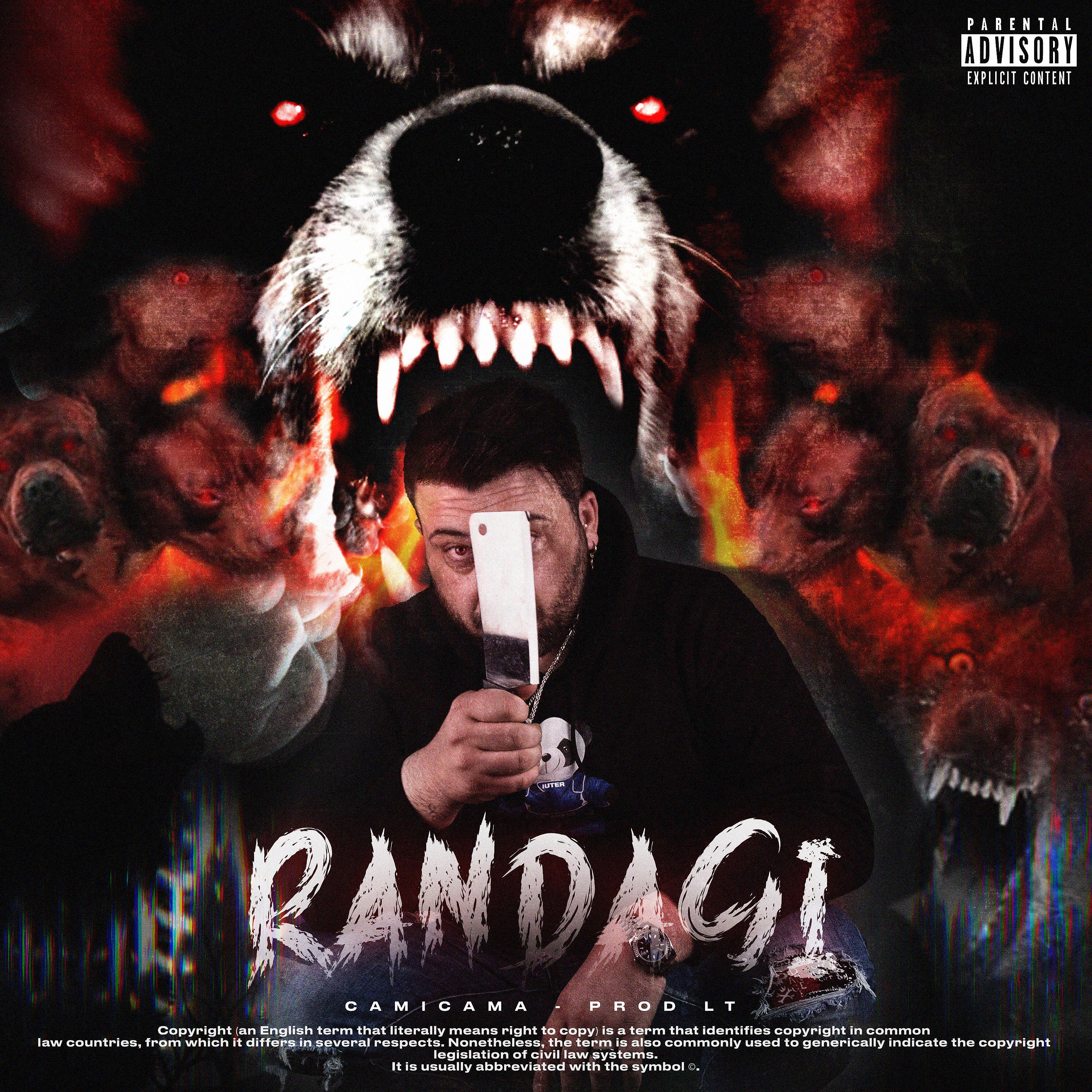 Постер альбома Randagi