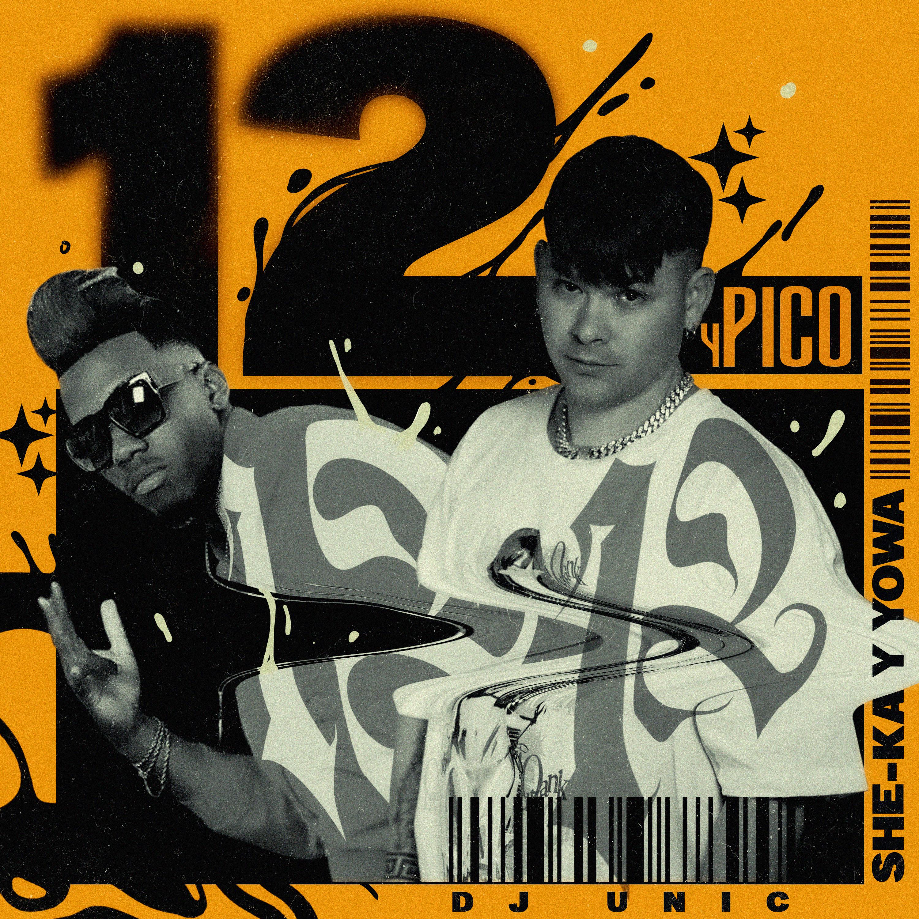 Постер альбома 12 y Pico