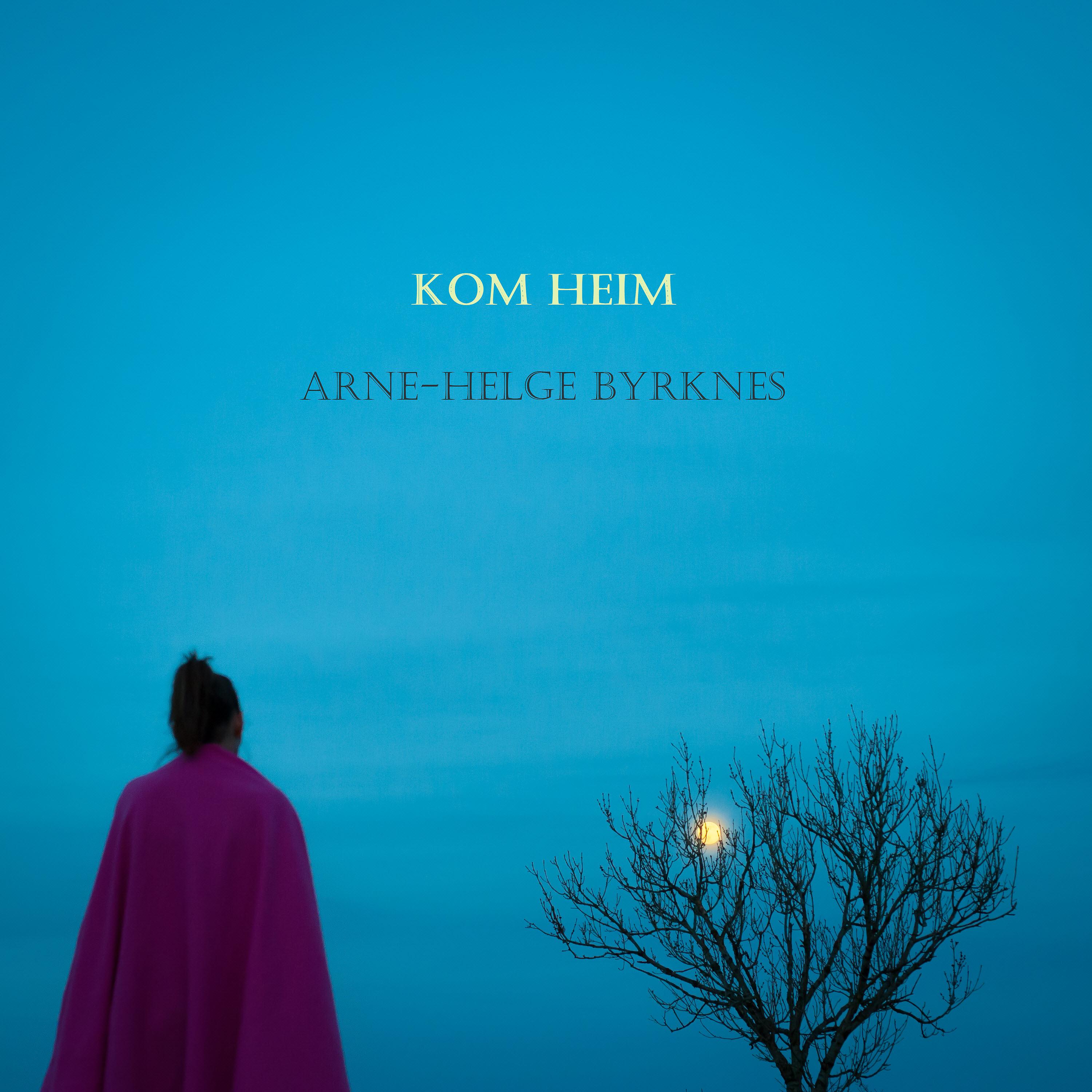 Постер альбома Kom Heim