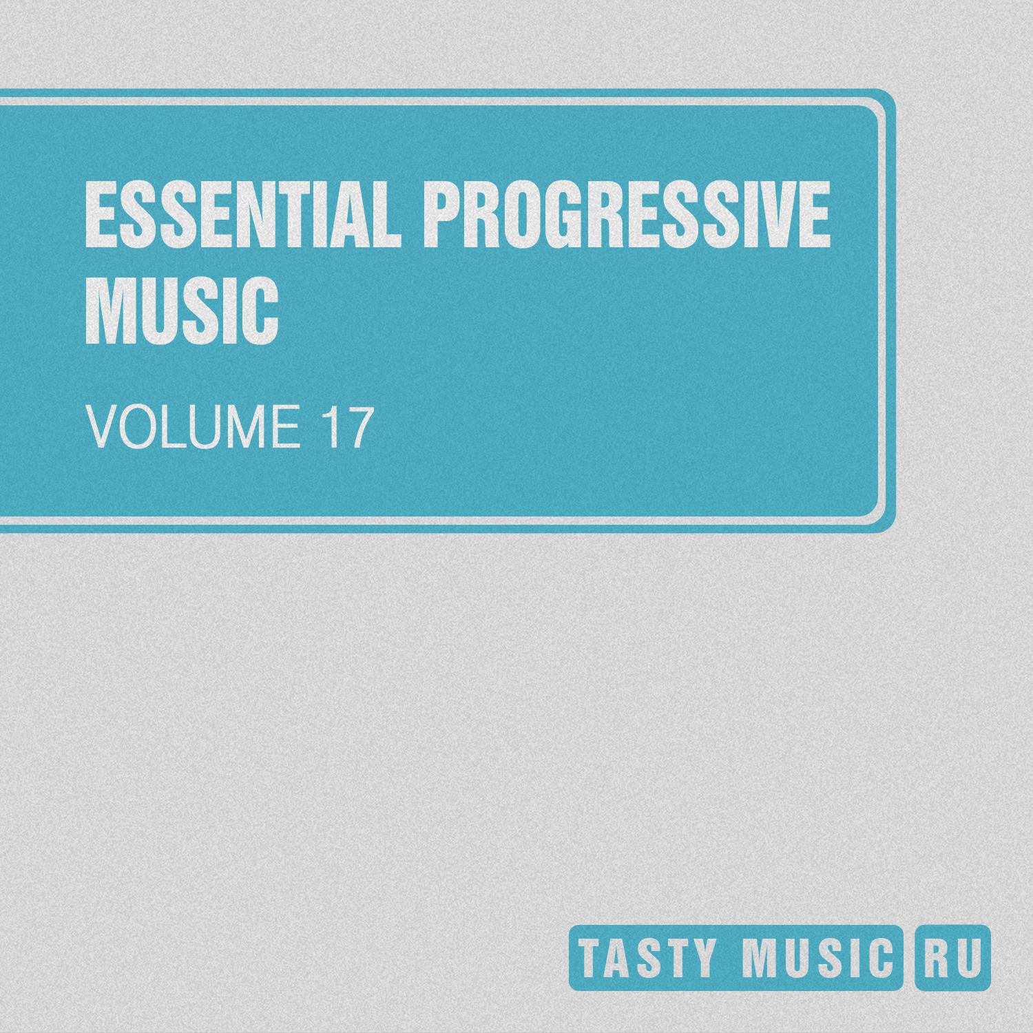 Постер альбома Essential Progressive Music, Vol. 17
