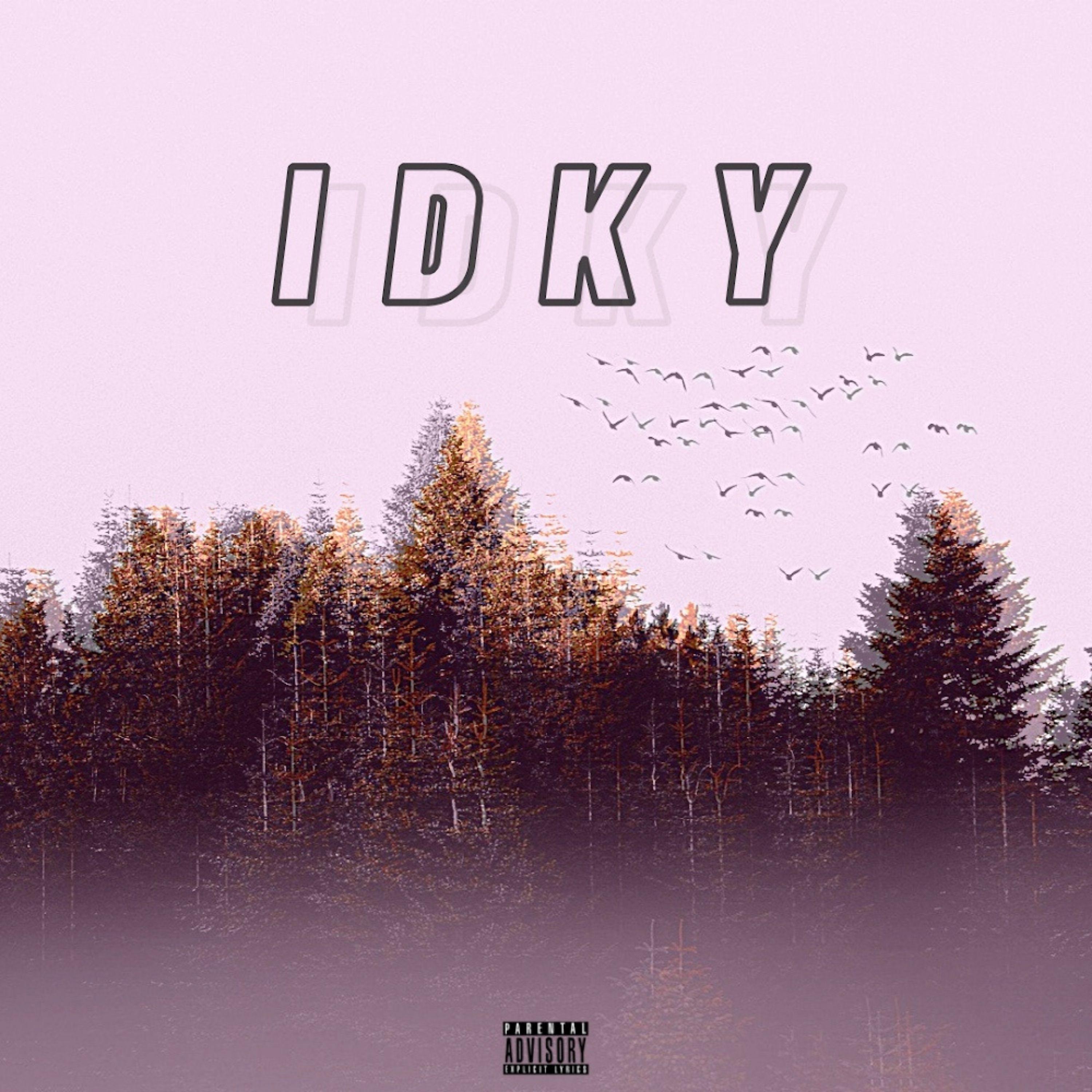Постер альбома I.D.K.Y