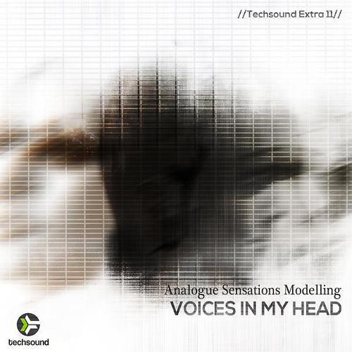 Постер альбома Voices in my Head