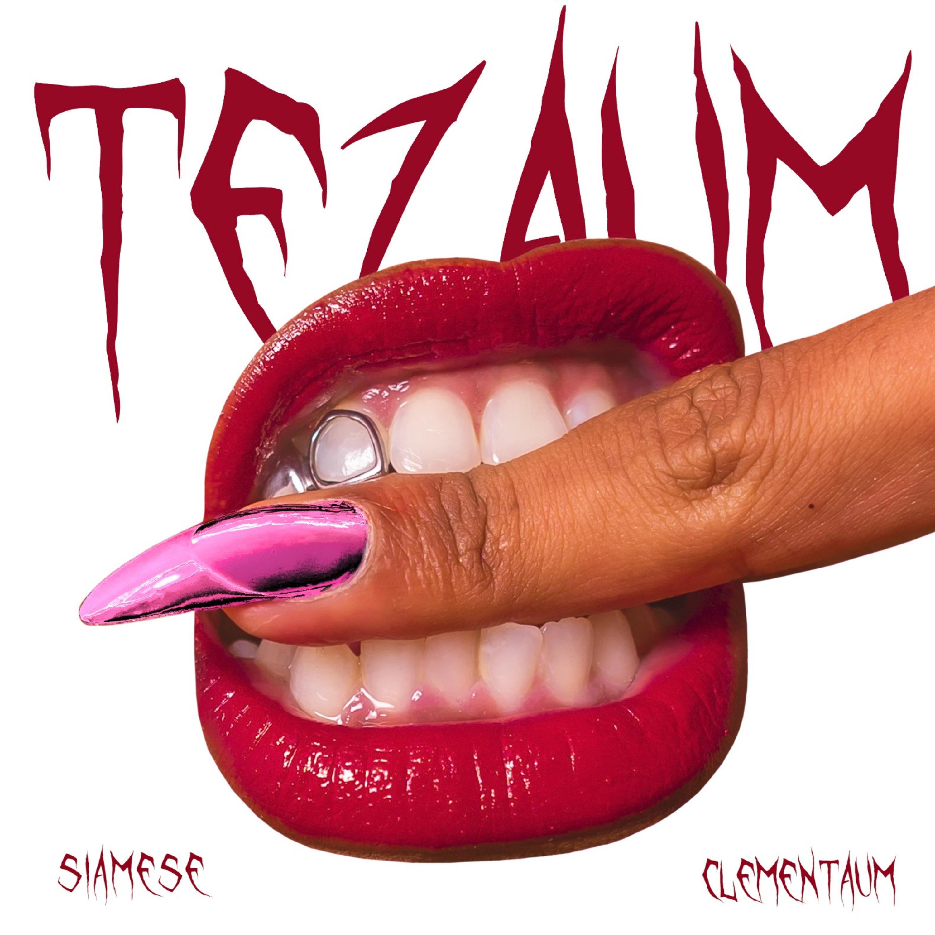 Постер альбома Tezaum