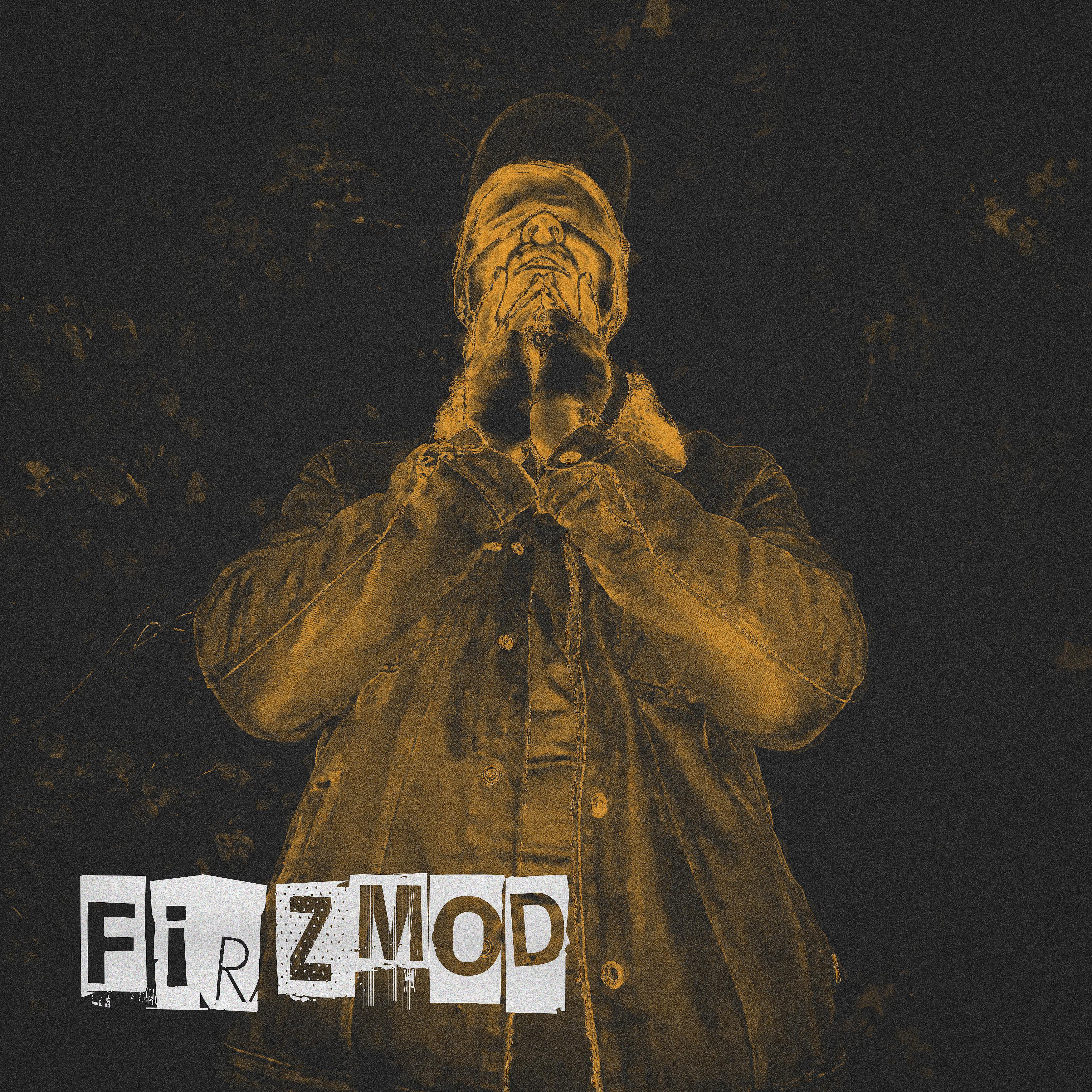 Постер альбома Firzmod