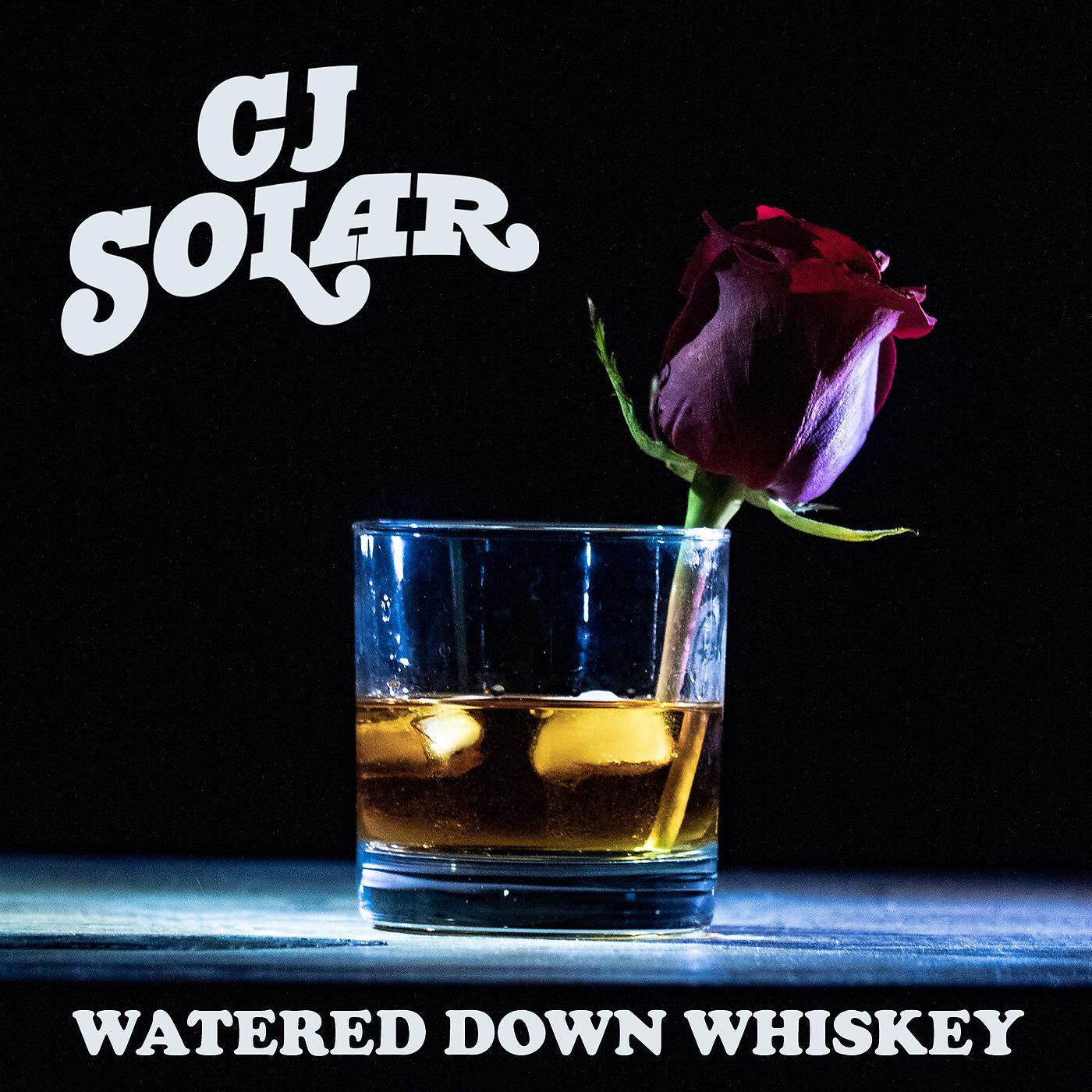 Постер альбома Watered Down Whiskey