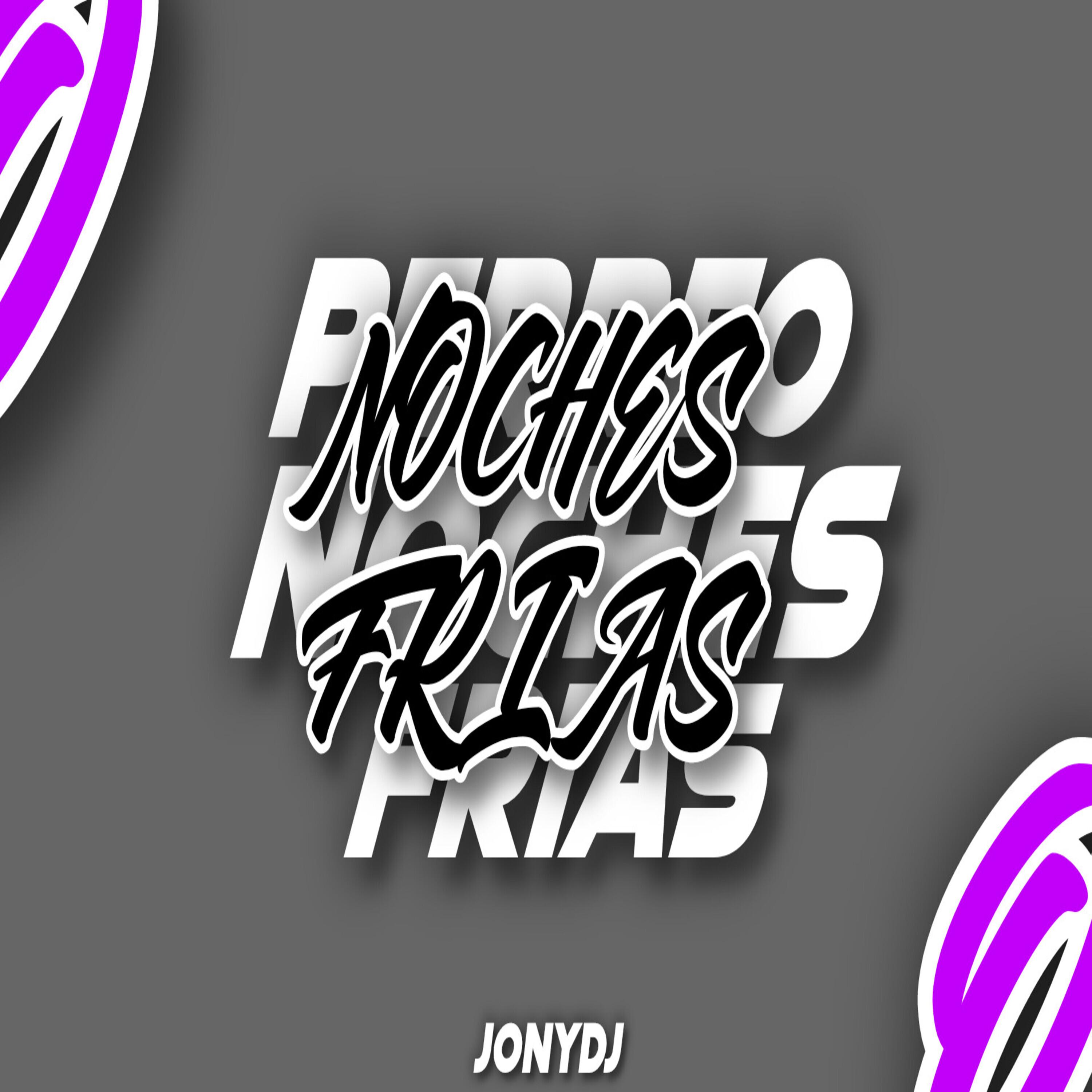 Постер альбома Perreo Noches Frias