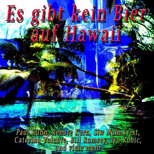 Постер альбома Es gibt kein Bier auf Hawaii
