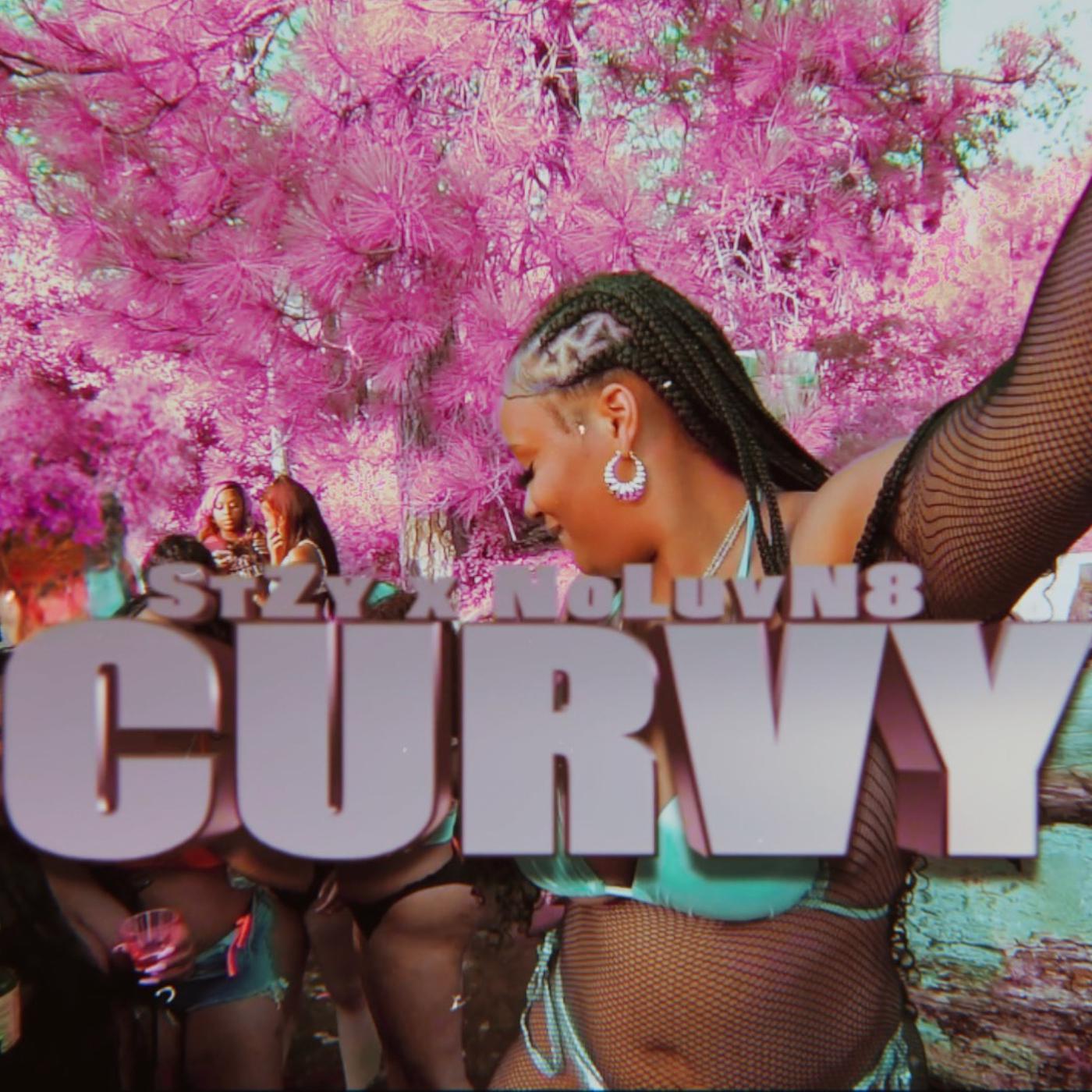 Постер альбома Curvy