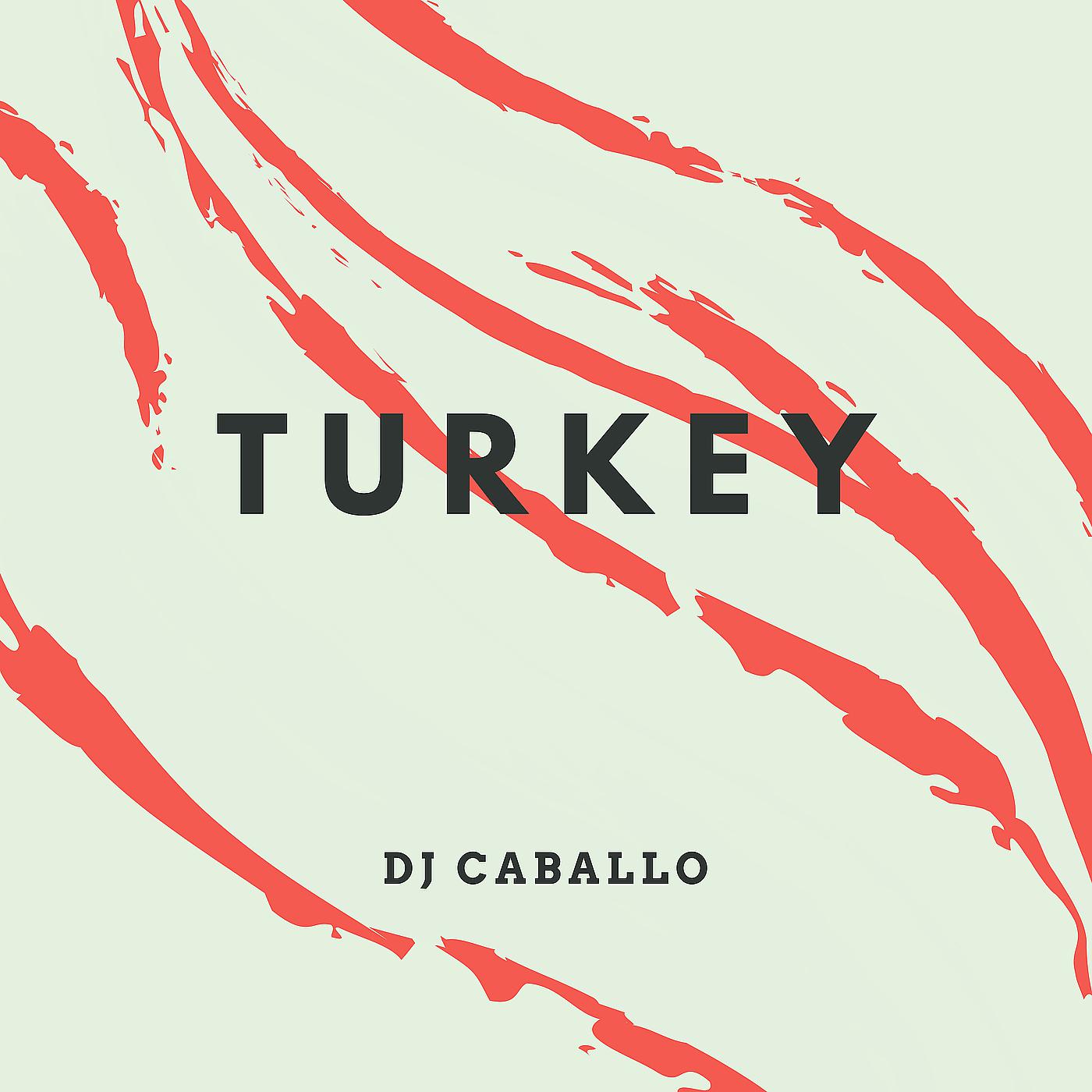 Постер альбома Turkey