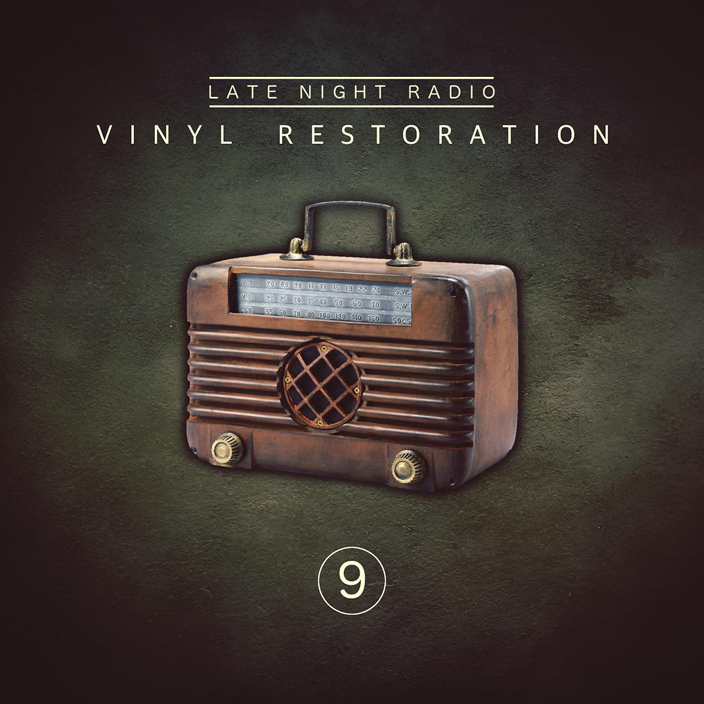 Постер альбома Vinyl Restoration, Vol. 9