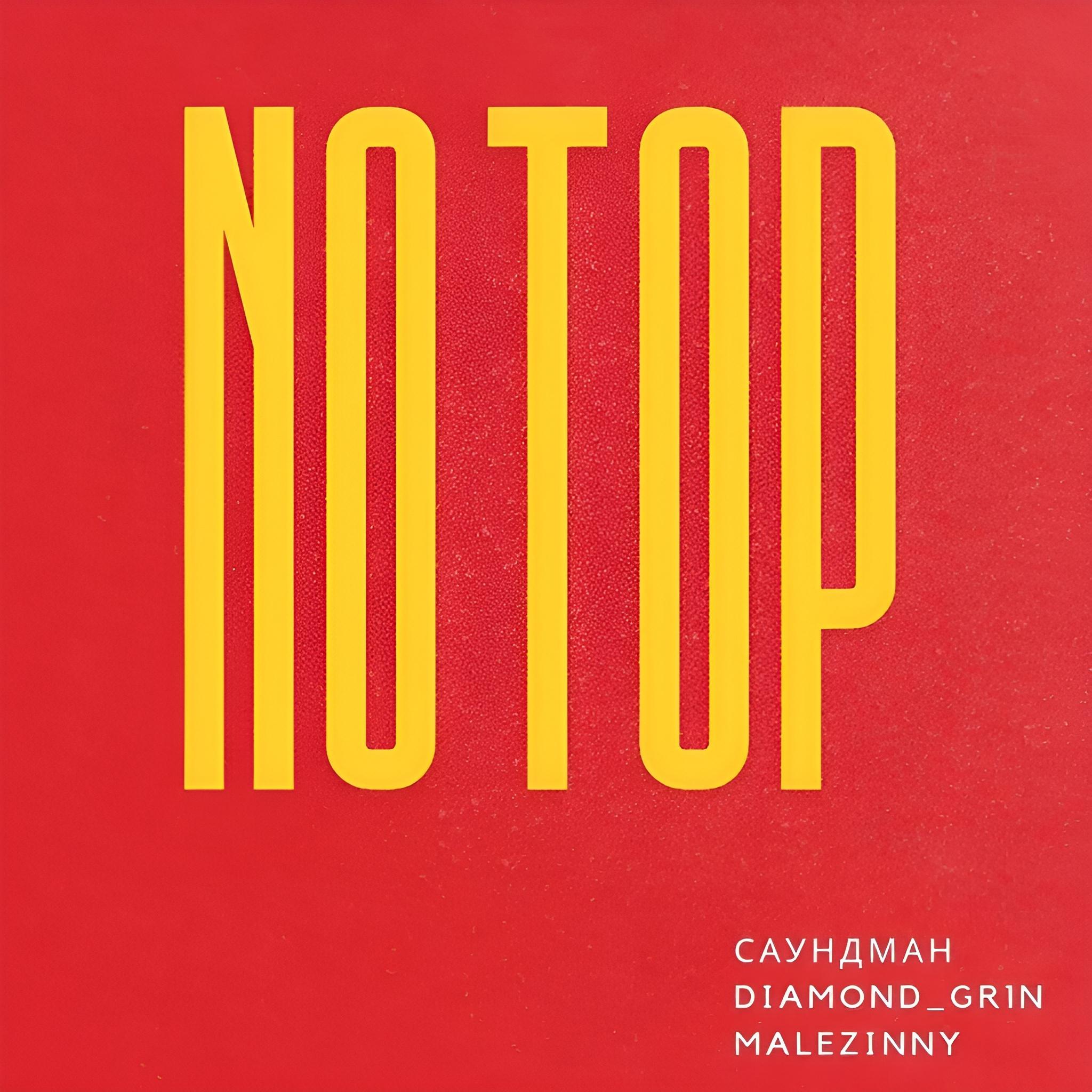 Постер альбома No Top