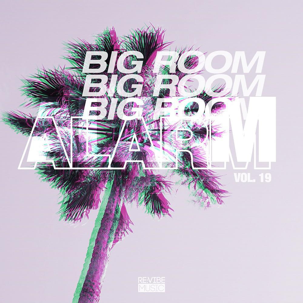 Постер альбома Big Room Alarm, Vol. 19