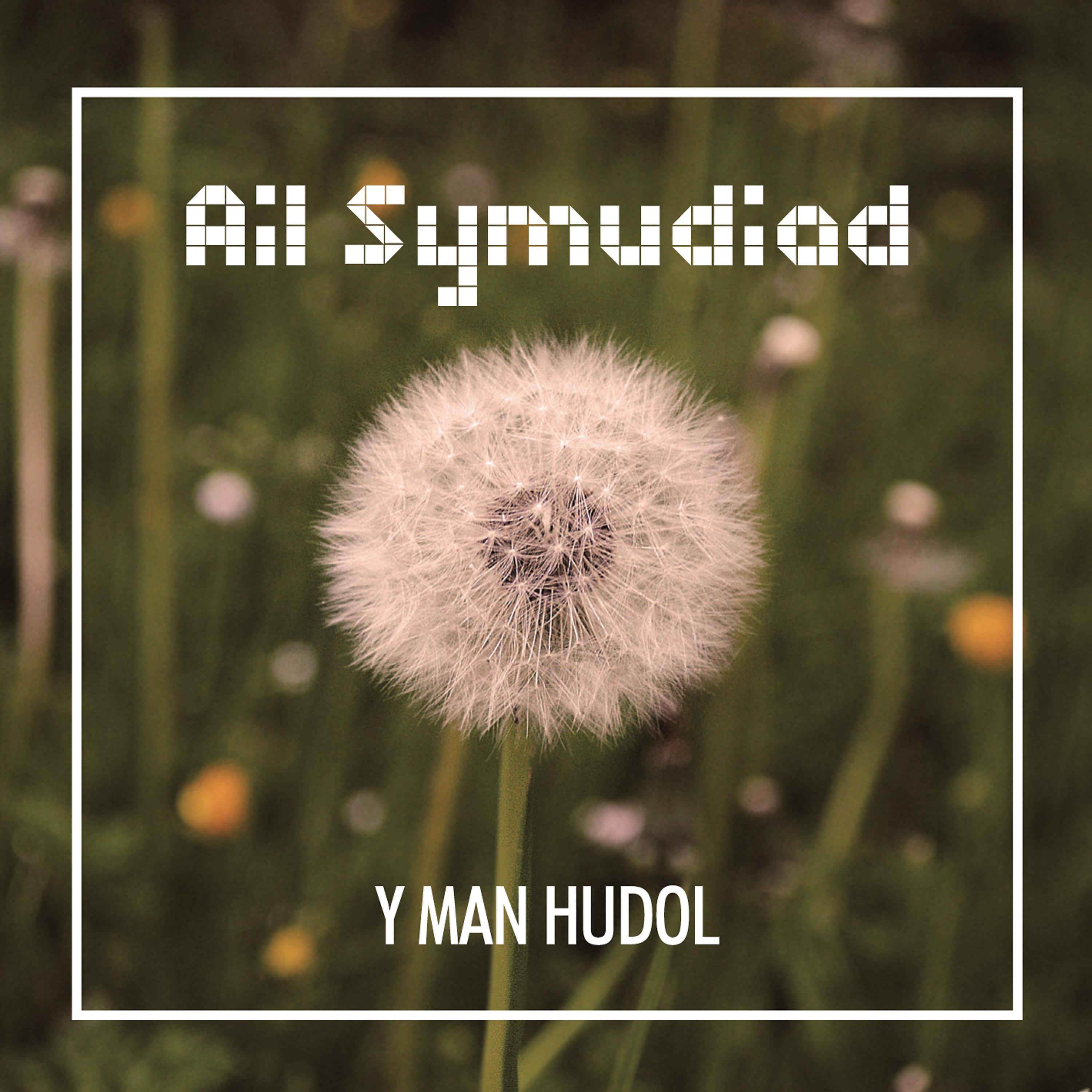 Постер альбома Y Man Hudol