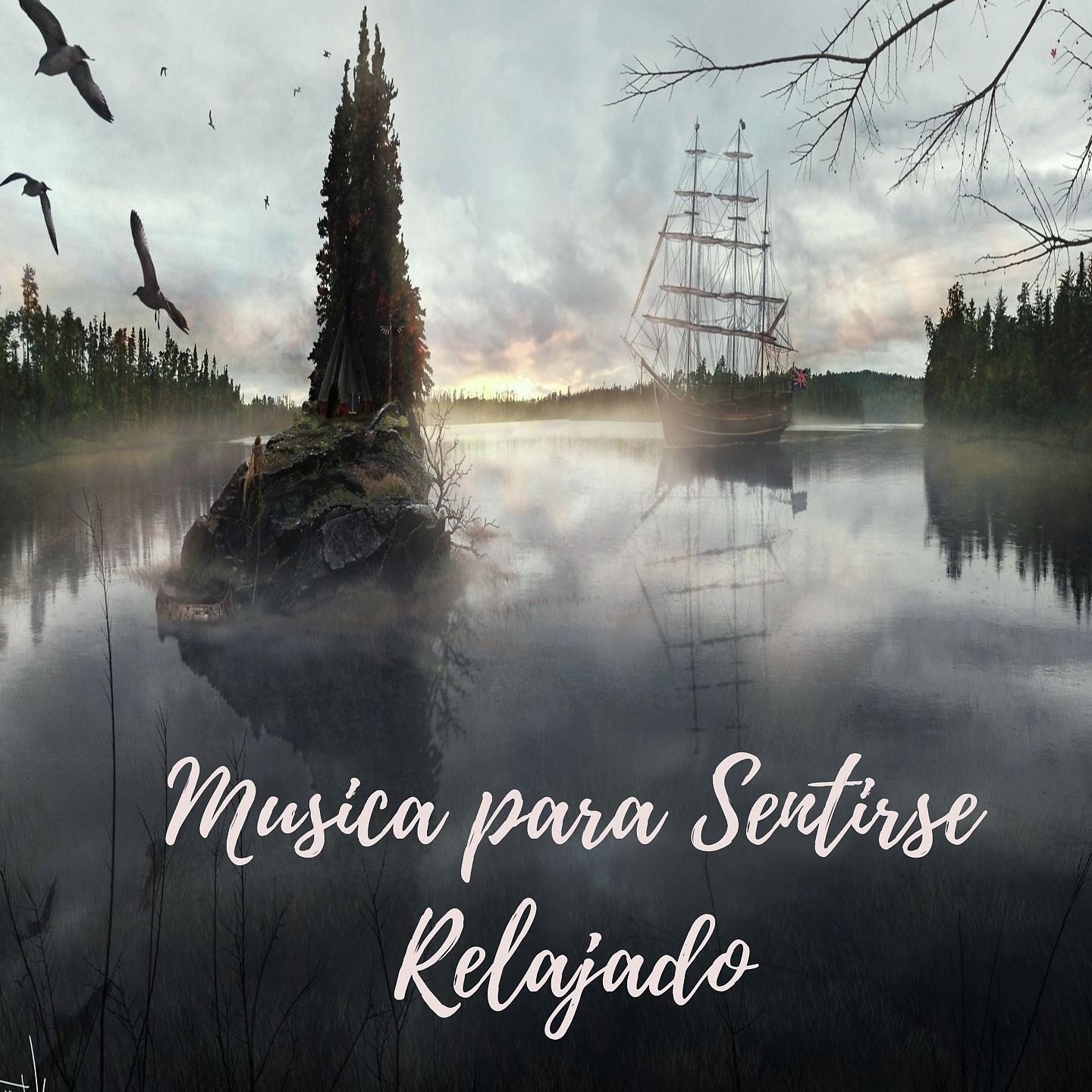 Постер альбома Musica para Sentirse Relajado