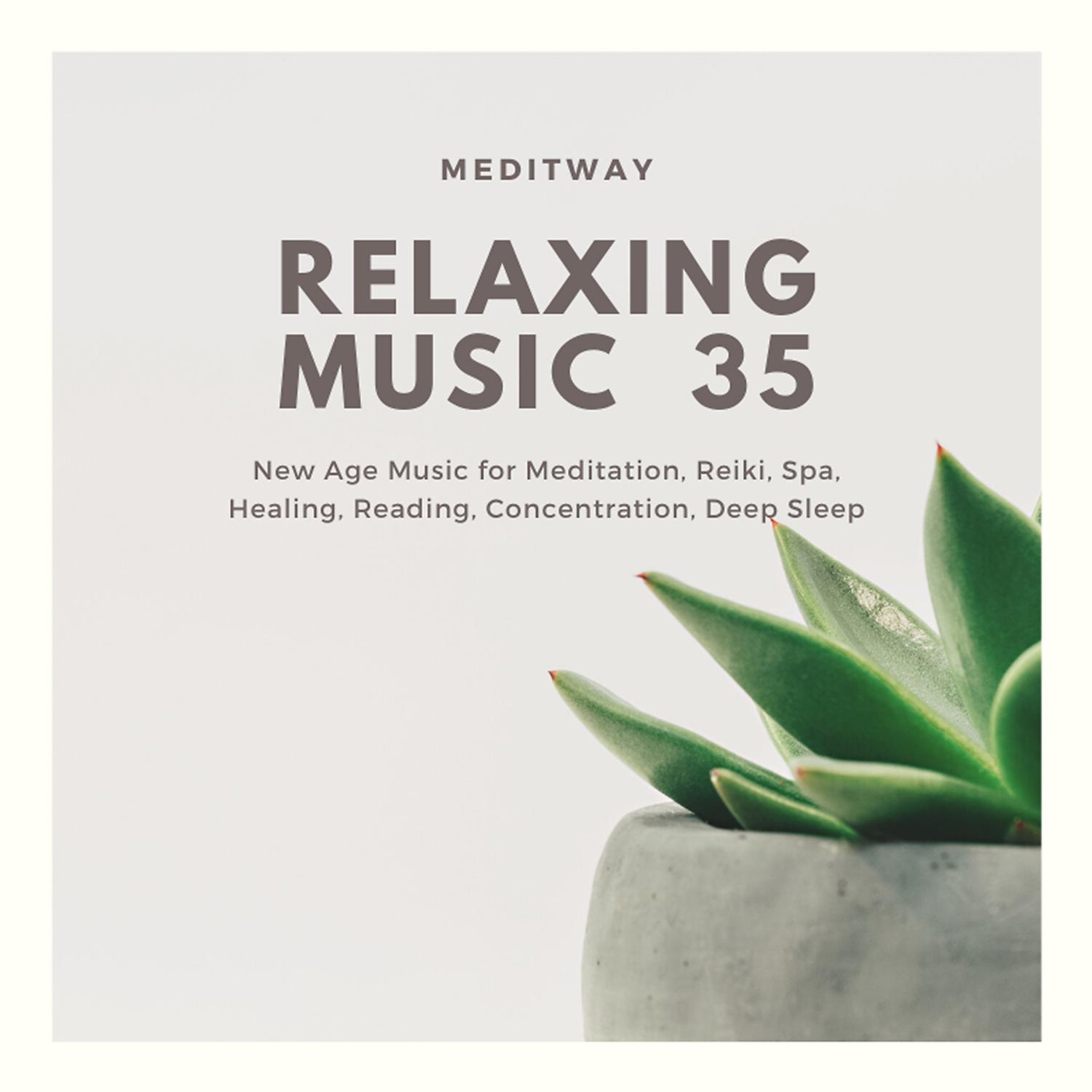 Постер альбома Relaxing Music 35 - New Age Music for Meditation, Reiki, Spa, Healing, Reading, Concentration, Deep Sleep