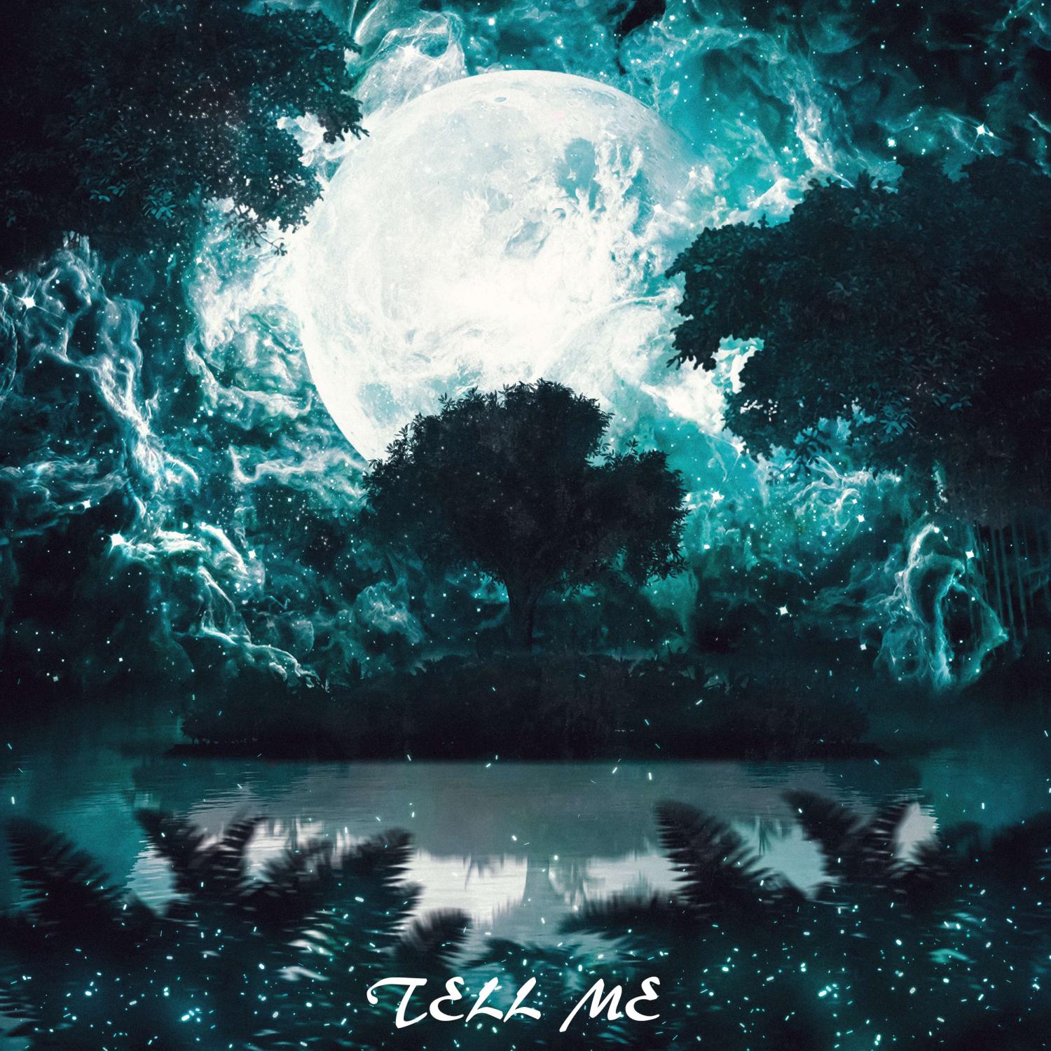 Постер альбома Tell me (Remix)