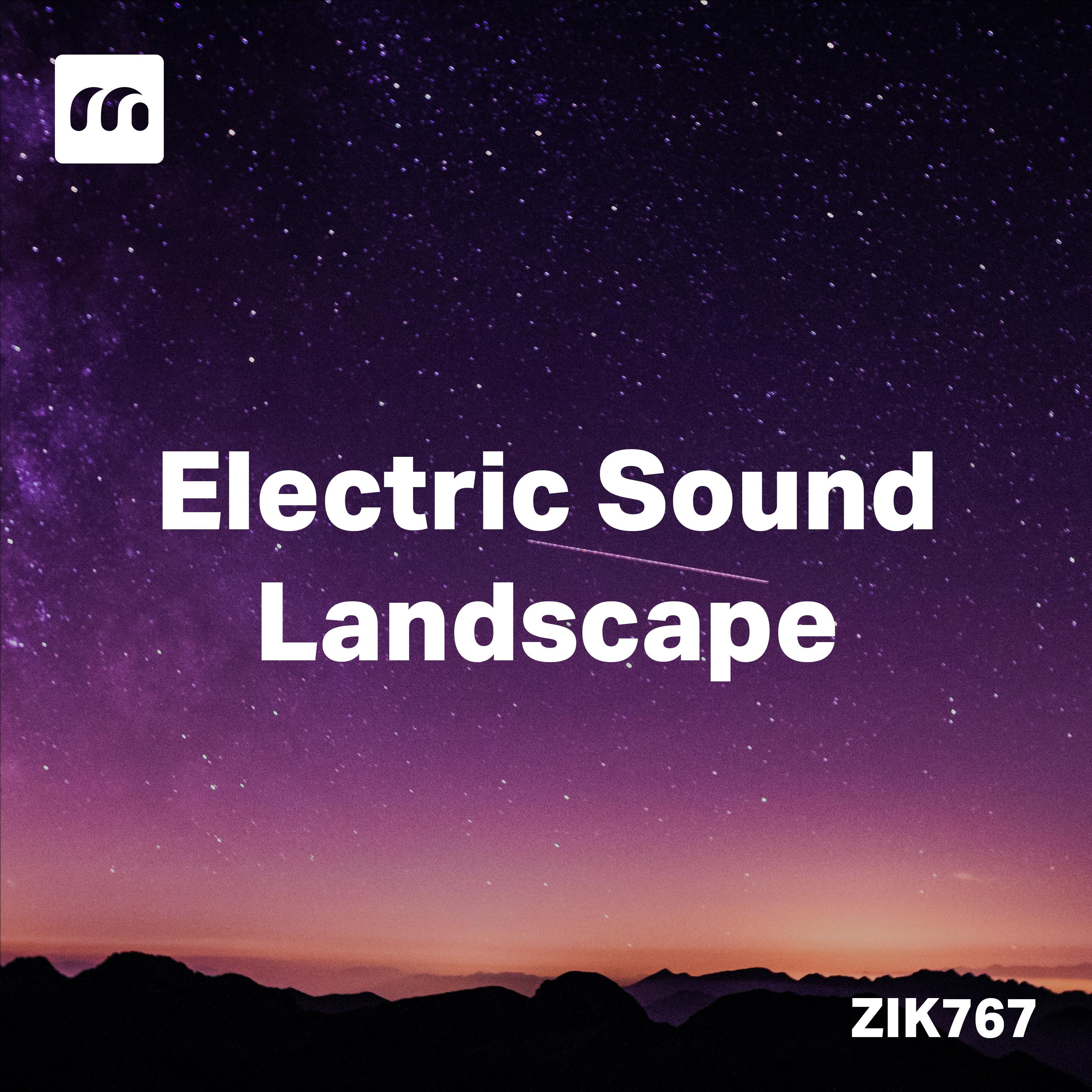 Постер альбома Electric Sound Landscape