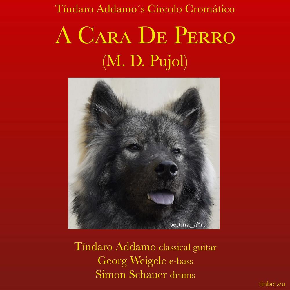 Постер альбома A Cara de Perro