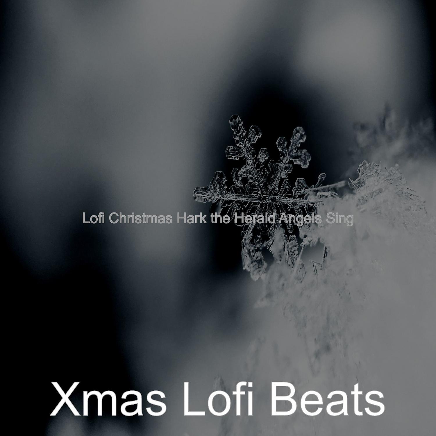 Постер альбома Lofi Christmas Hark the Herald Angels Sing