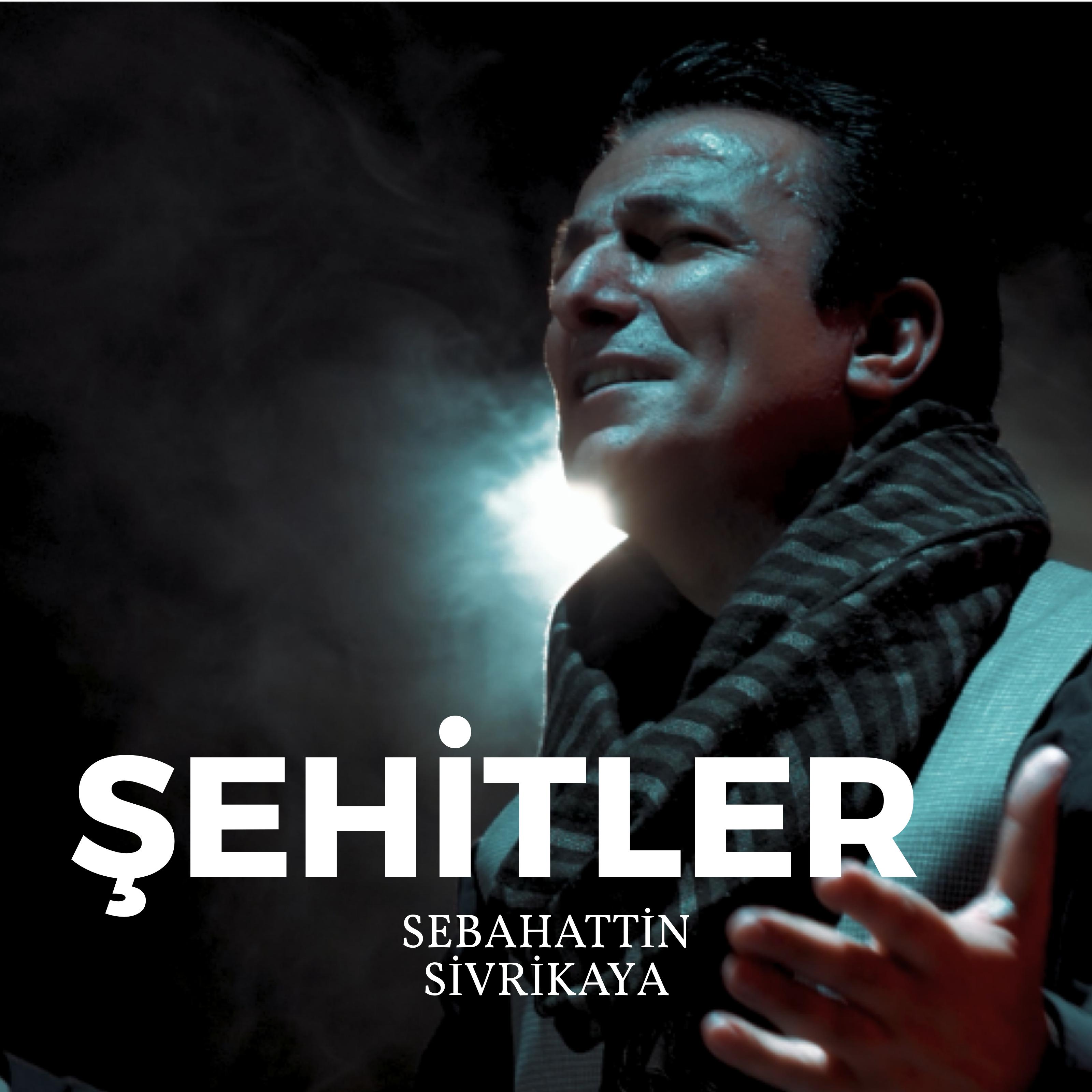 Постер альбома Şehitler